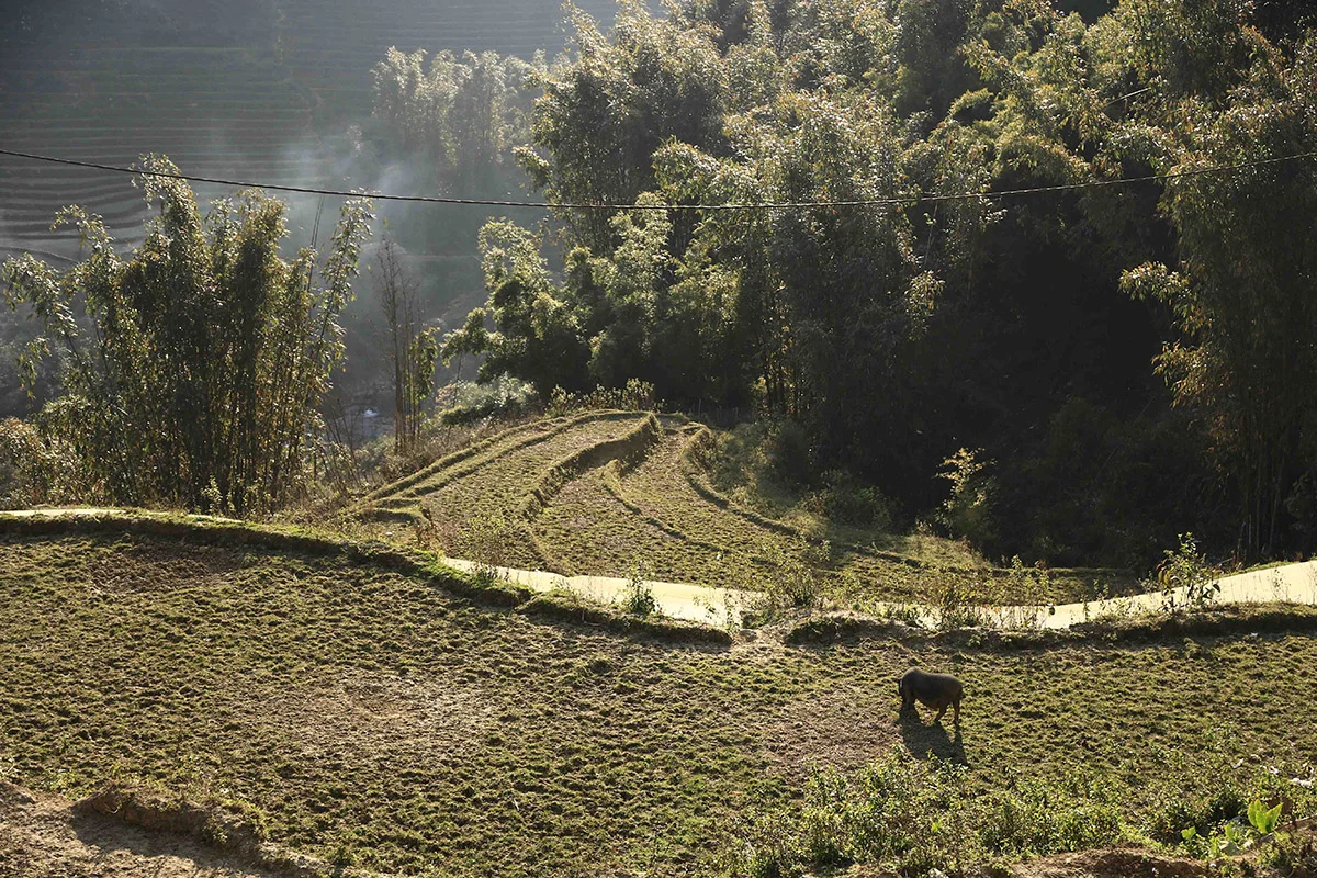 duong 7.jpg