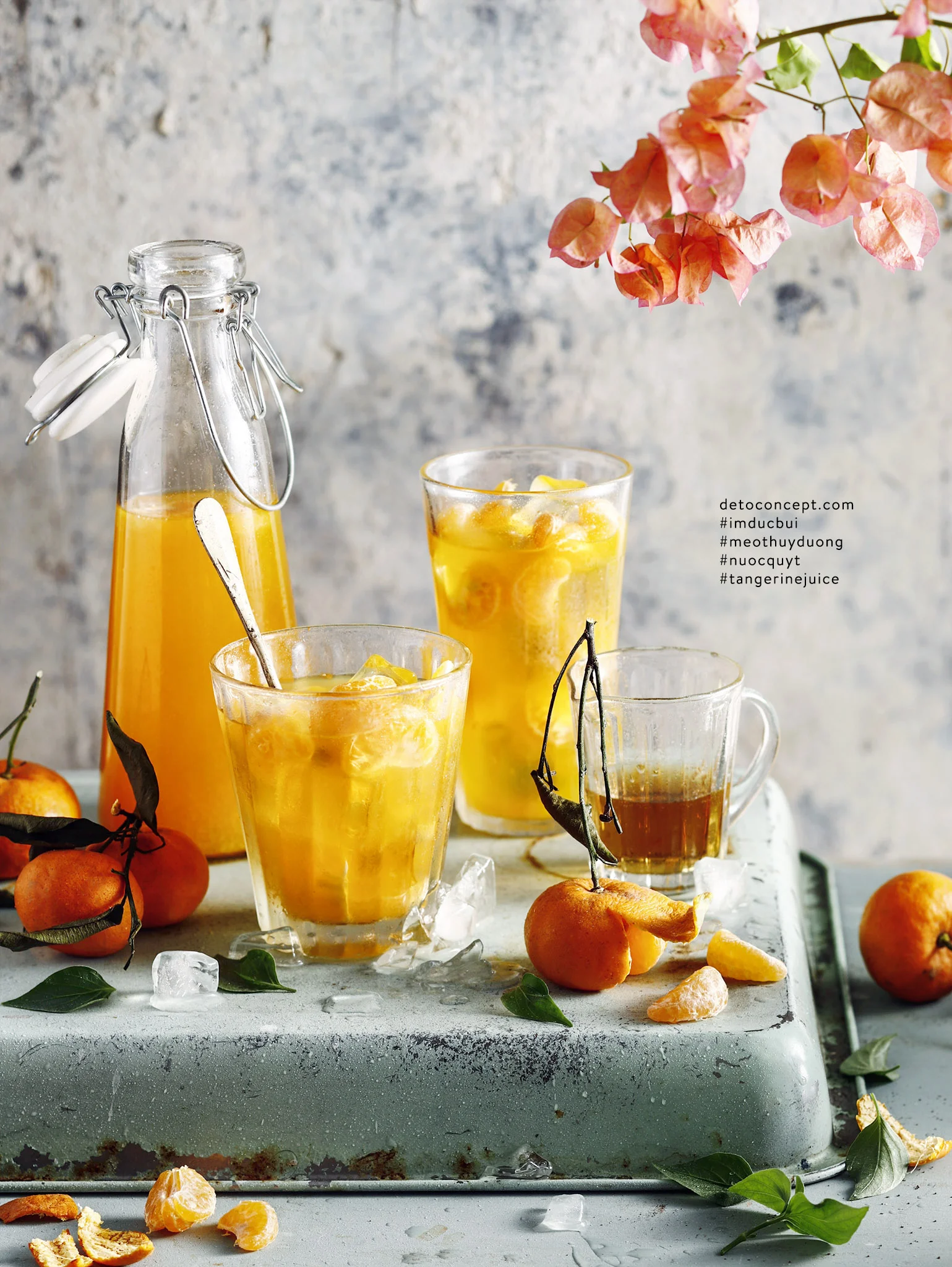 Học gì để trở thành food stylist?