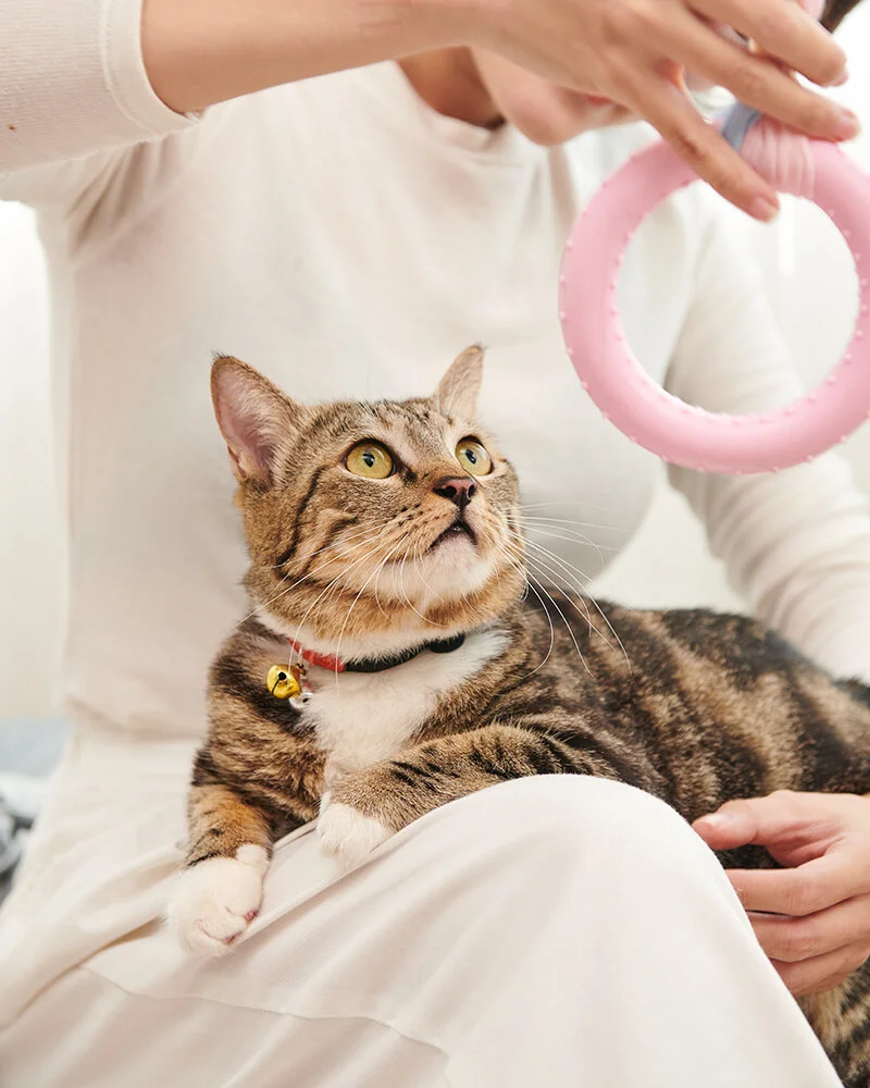 Petchoy 1: Chụp sản phẩm hay chụp người khó hơn? Chụp Pet khó nhất!?