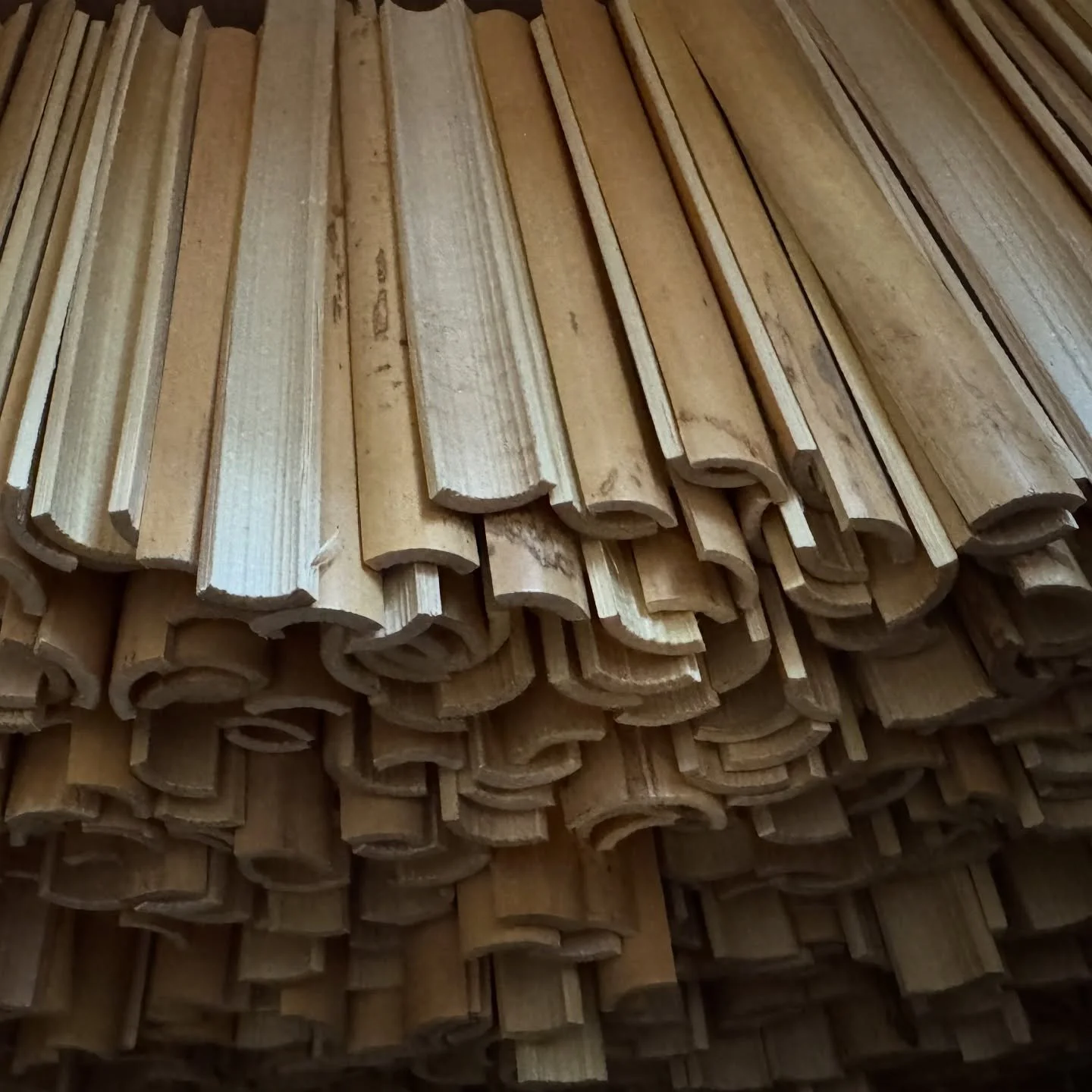 The June gloom seemingly rolled into Fall! Breaking this cane down to segments and splits. #bassoon #doublereed #reedmaking #rigotti bassooncane #handmade #sandiego #eastcountysandiego