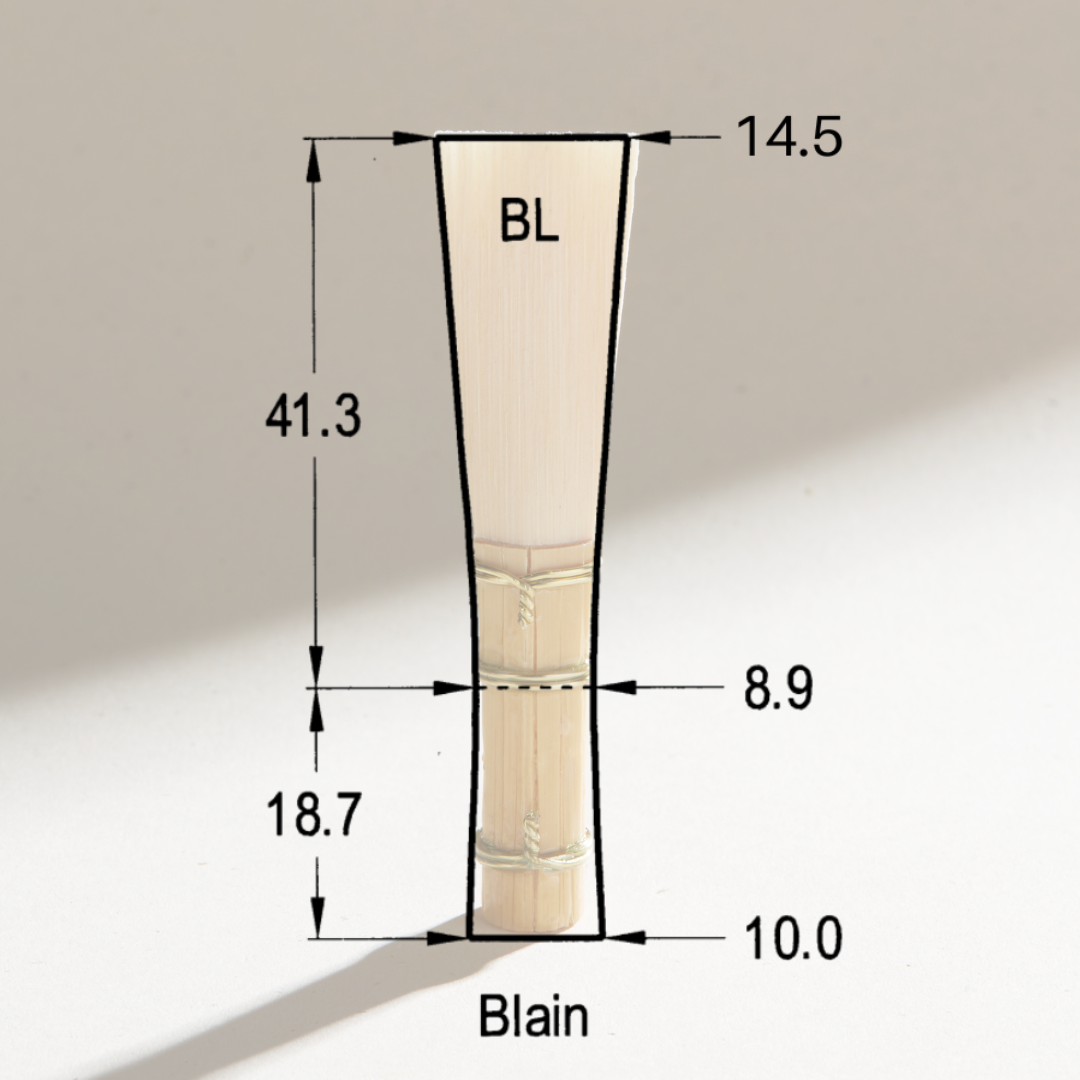 2E87CD77-6801-463C-B1F5-C38D4FC9EB47.png