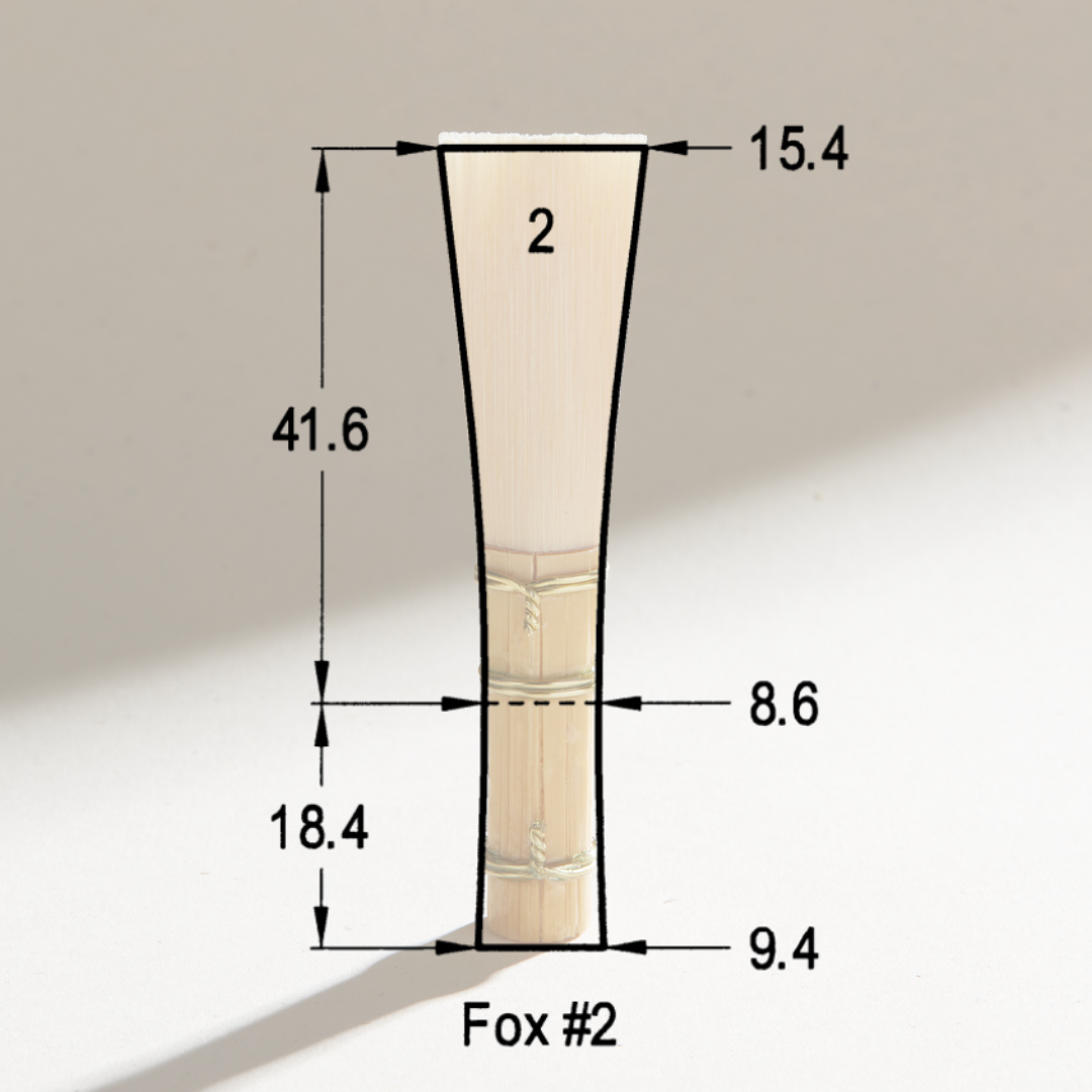 87FCF9FF-8613-4029-87F8-564FAE031F91.png