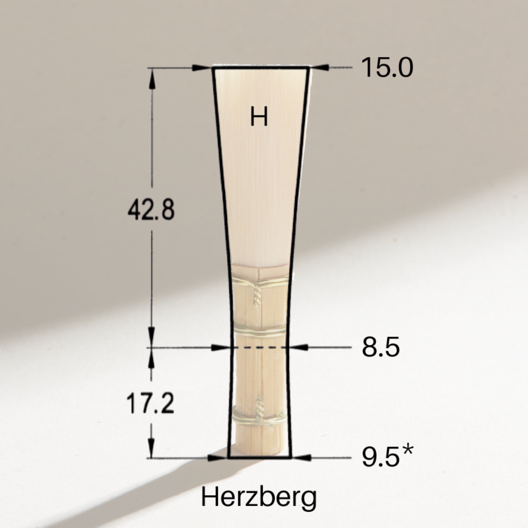 4A8704AD-C432-45E1-91B8-5EAAB29BE3F1.png