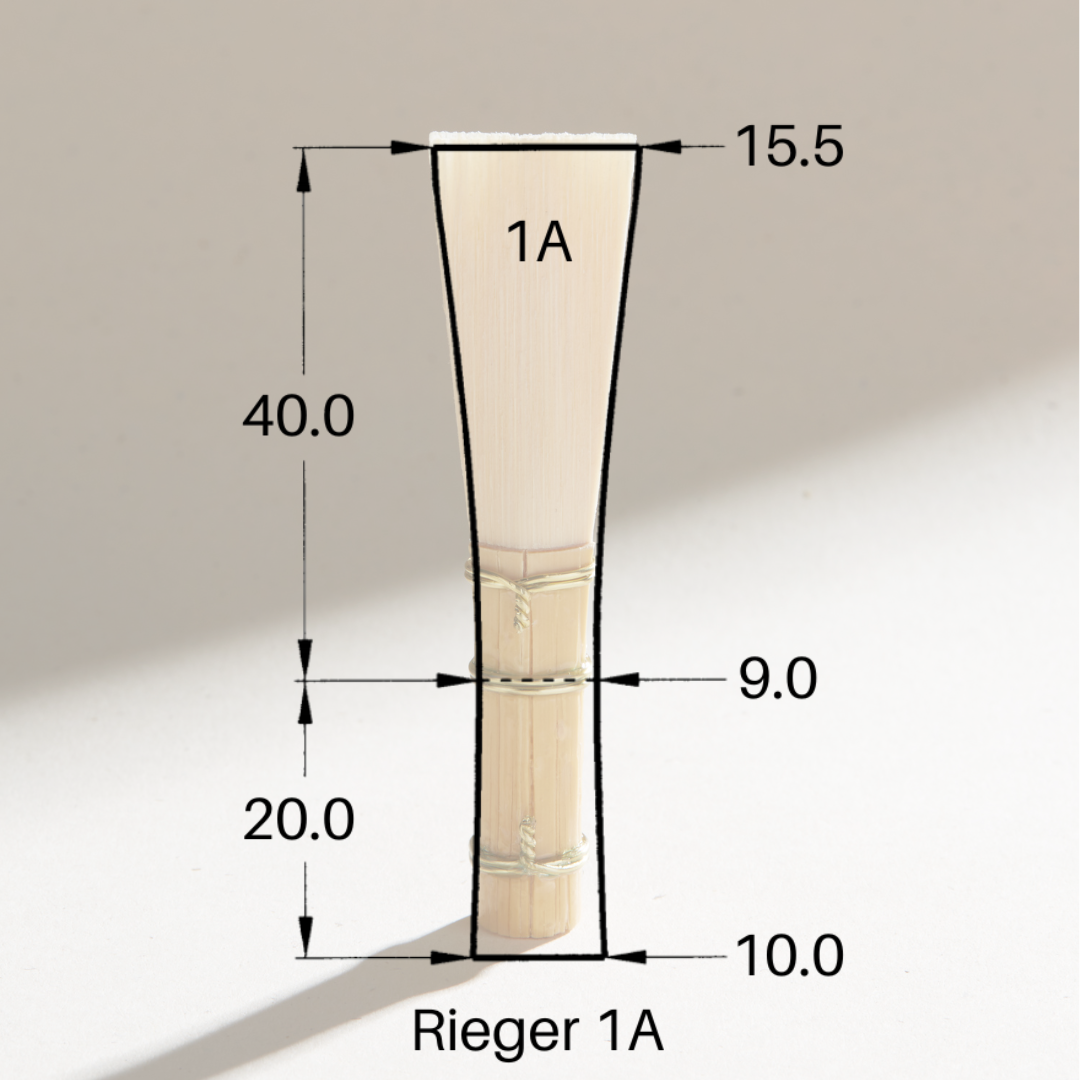 BAFC7A29-5247-430C-8319-9469922A0B3D.png