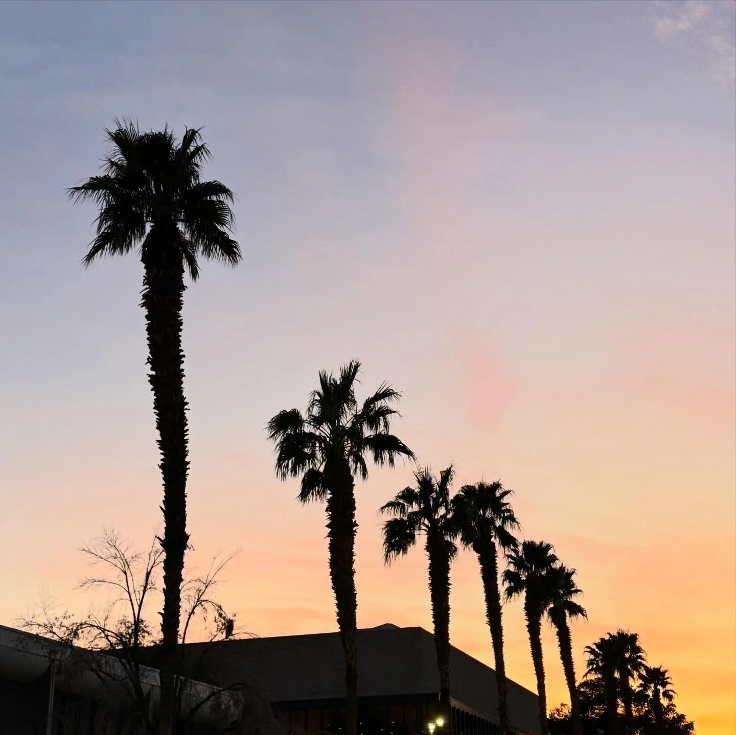 Thank you @lizvalvano and @unlvbassoons I had an amazing time at the UNLV double reed day! #thatsawrap #unlv #oboe #bassoon #doublereed