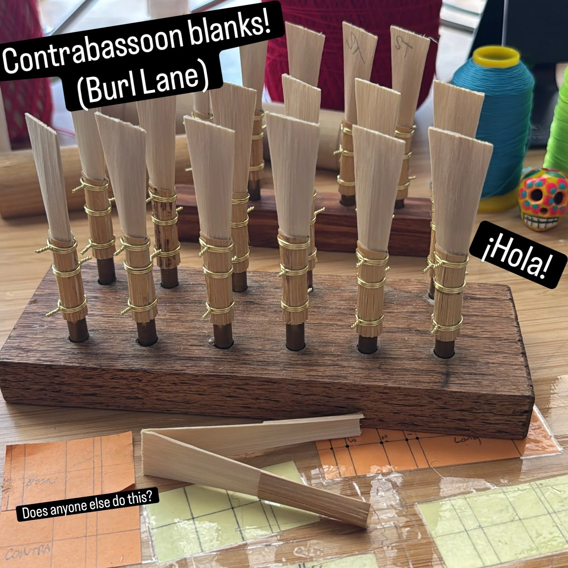 Contrabassoon blanks in progress! ☺️ #contrabassoon #bassoon #doublereed #reedmaking