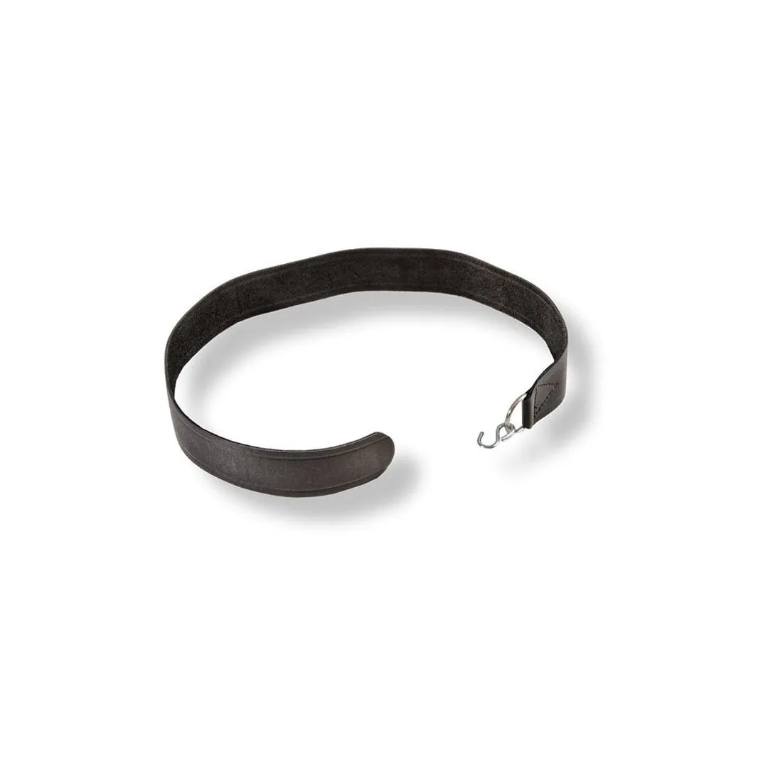 1228H-Seat-Strap-with-Hook.png
