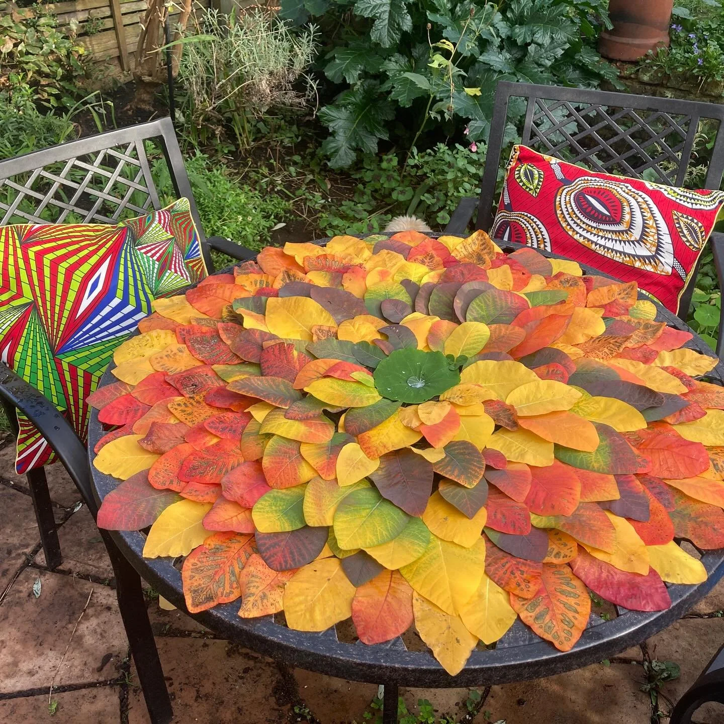 It&rsquo;s that time of year again! The flame tree is in full flame and we went a bit Andy Goldsworthy today!