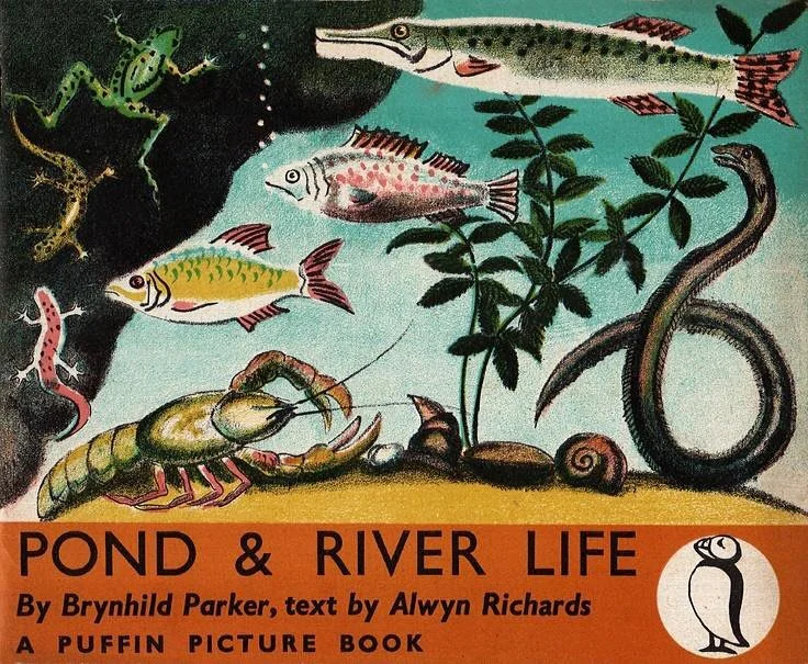 Exciting news! 

There&rsquo;s a must-see exhibition  @thehigginsbedford celebrating the remarkable life and work of visionary publisher Noel Carrington, the genius behind the Puffin Picture Book series. 

It&rsquo;s a visual tour de force!  Congratu