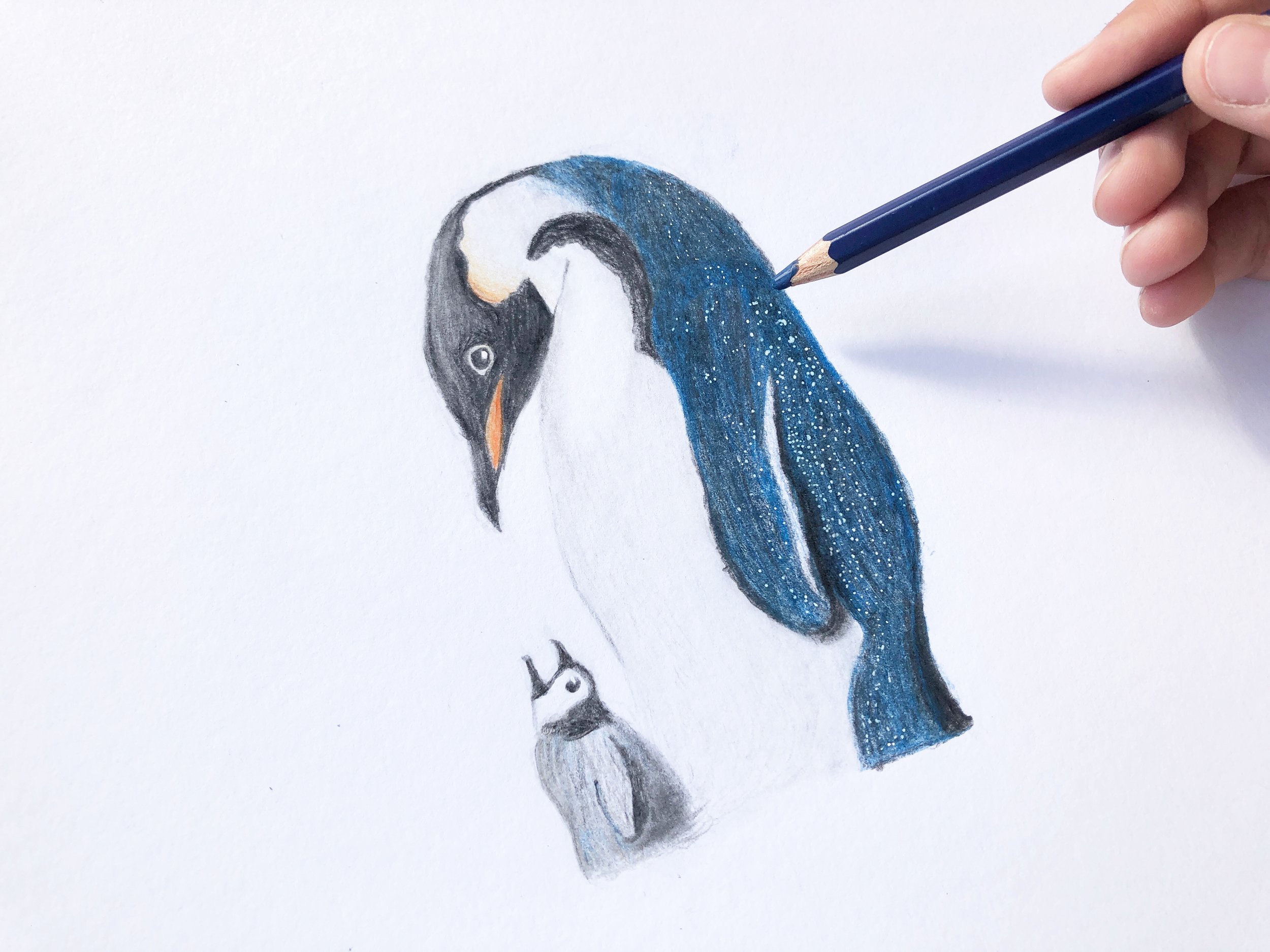 Pinguin Steven 11 år 4.jpg