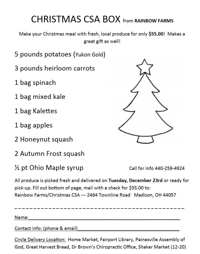2025 Christmas Box NOW OPEN!