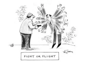 fightflight.jpg