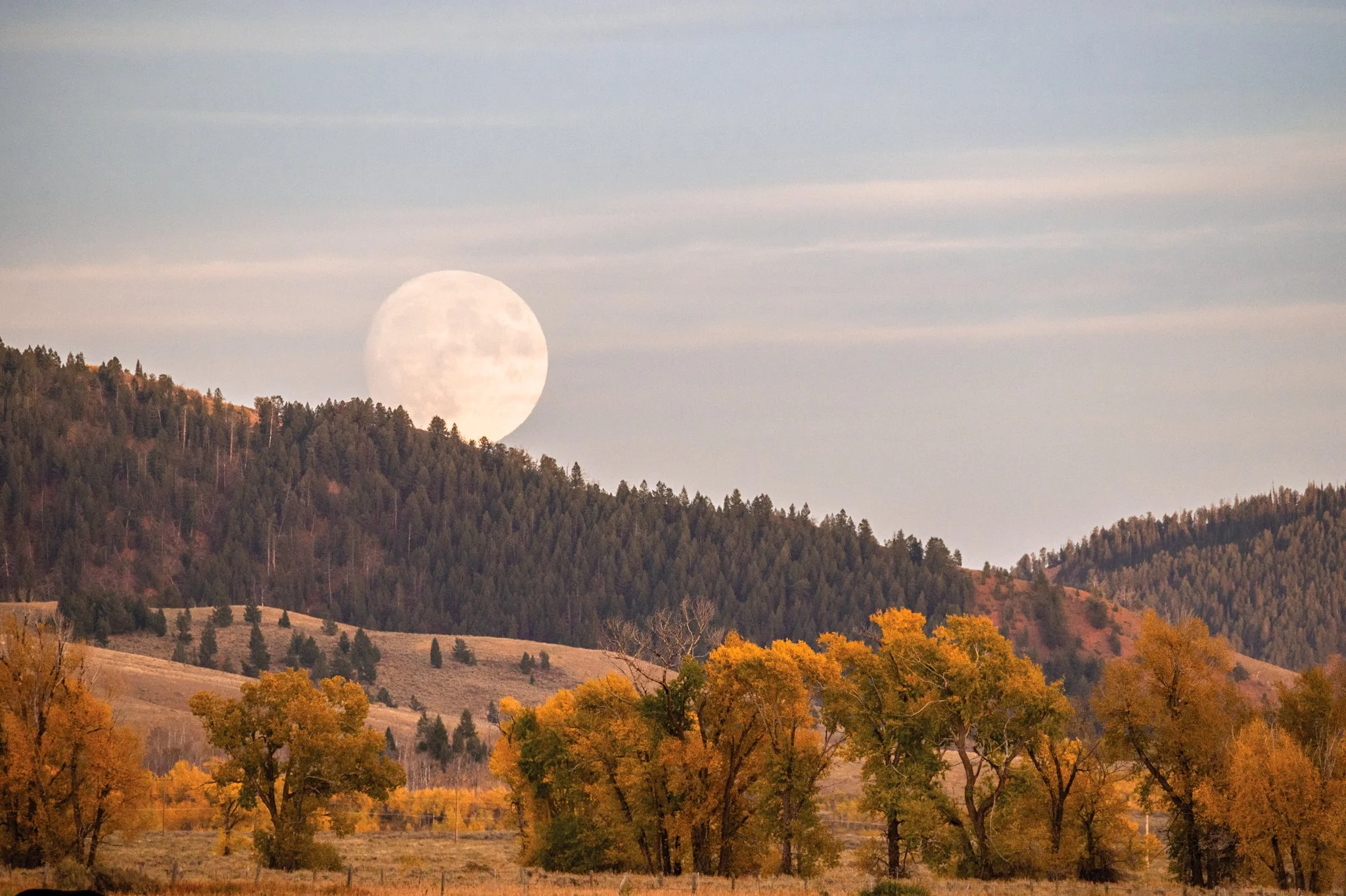 Moon Rise -01.jpg