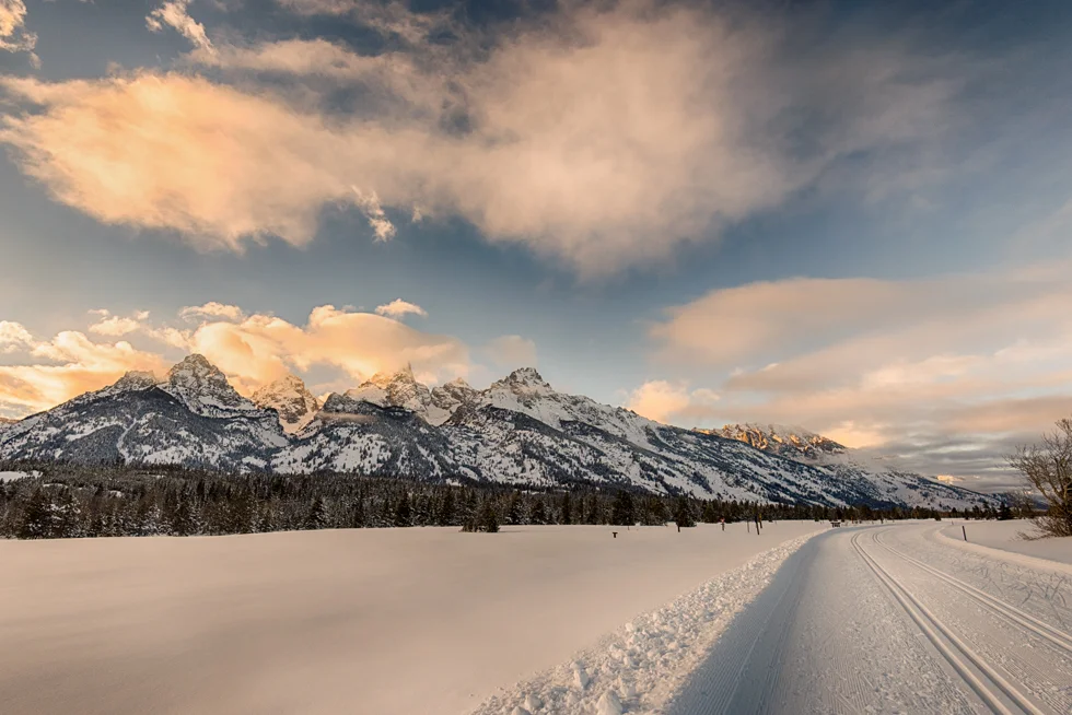 xc ski road.jpg