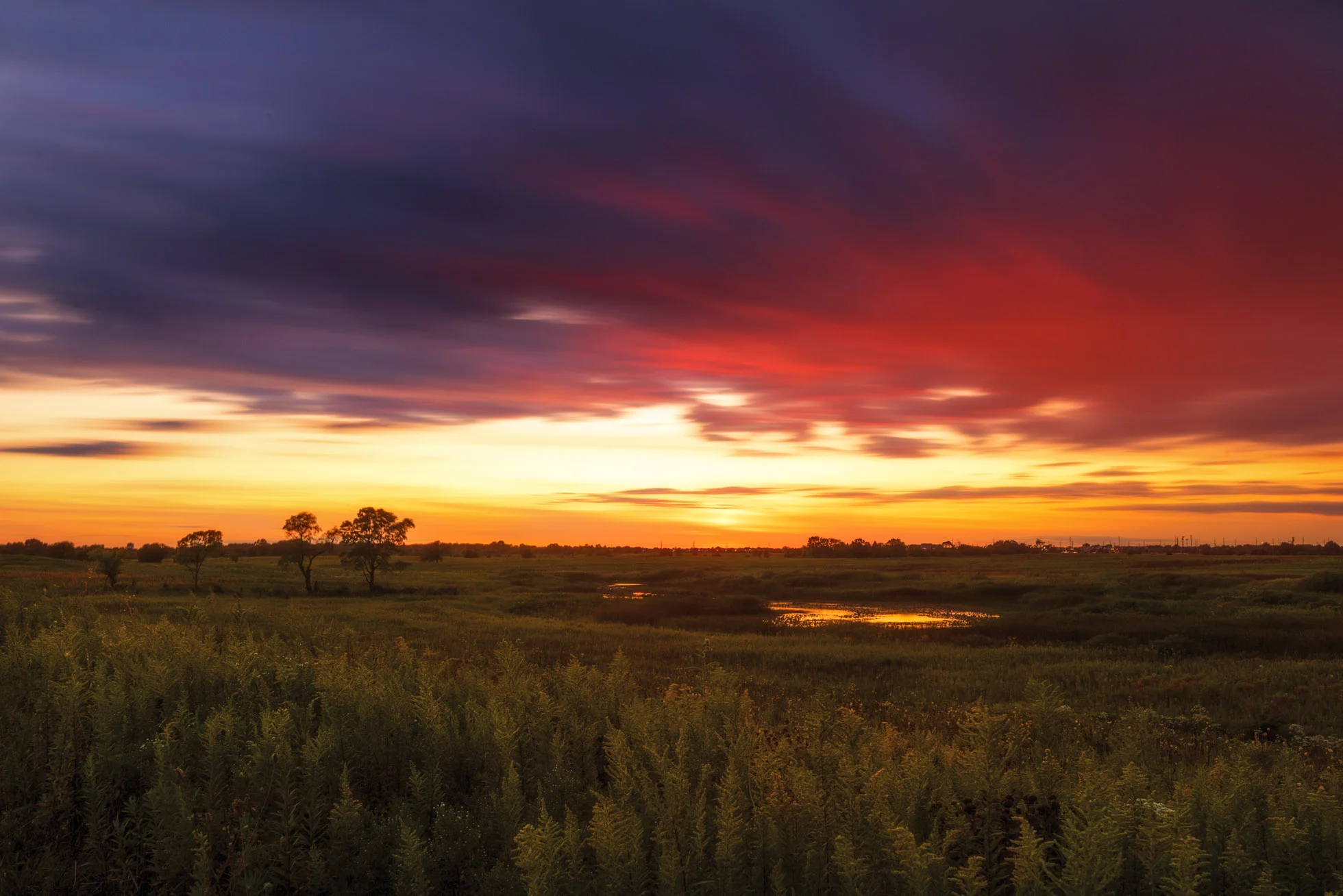 3 minute exposure for the sky combined with a fast shutter for the foreground grasses. Shot in the prairie of Illinois.