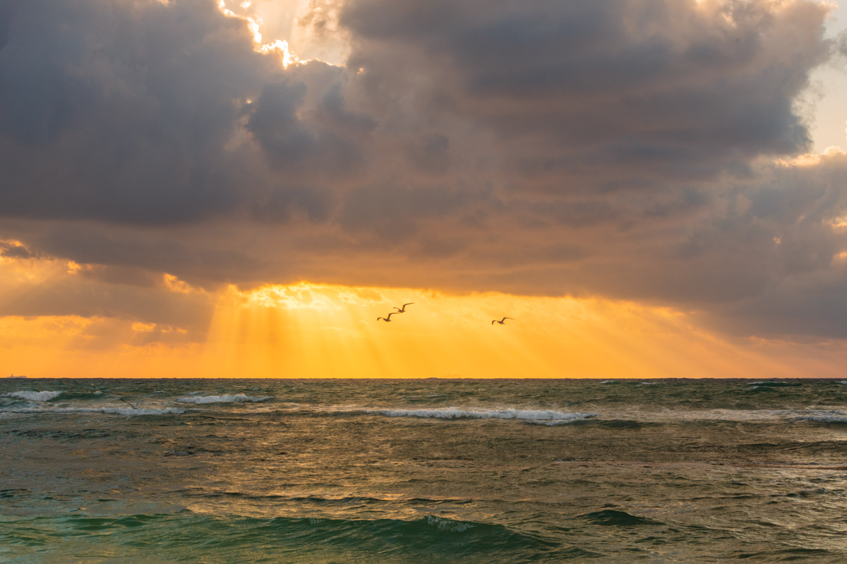 70mm captures the birds and sun rays as the clear main subject of the frame while including the environment around them.