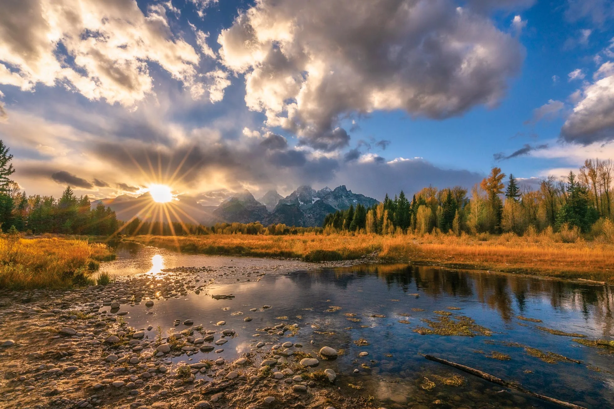 7 Tips for a Great Sunburst