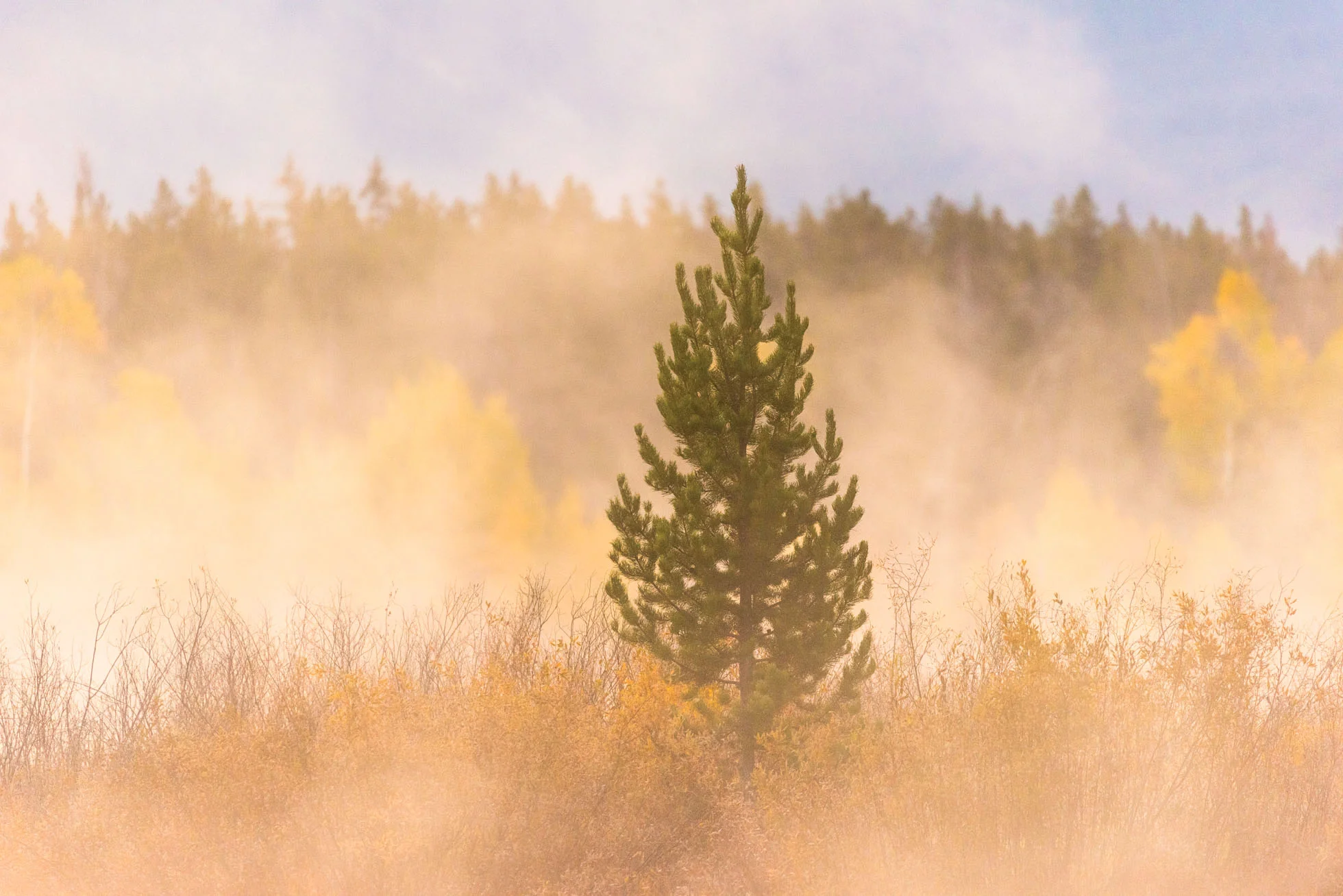 5 Reasons I Love My Telephoto Lens for Landscape &amp; Nature Photography