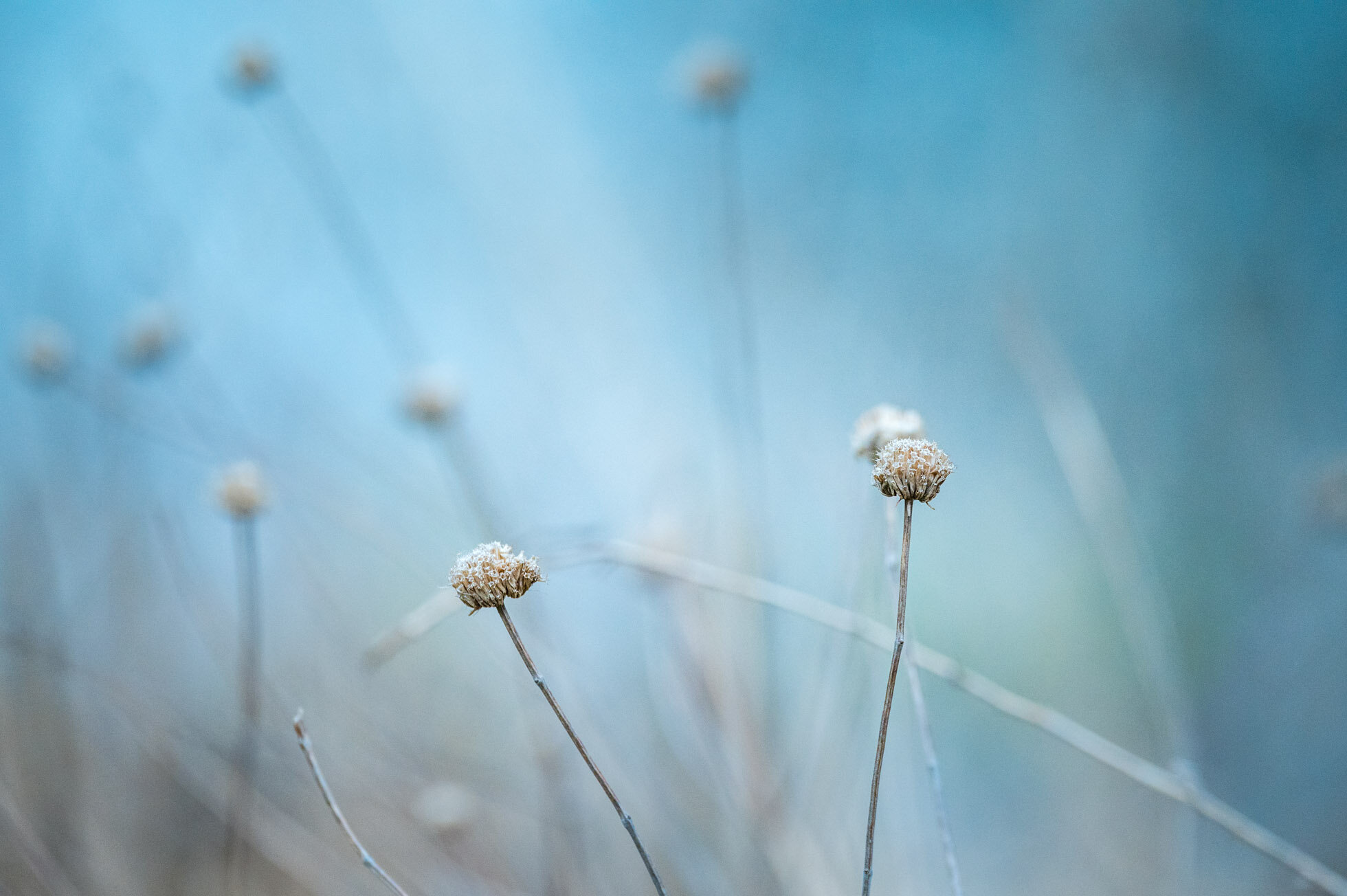6 Ideas for Creativity while Quarantined