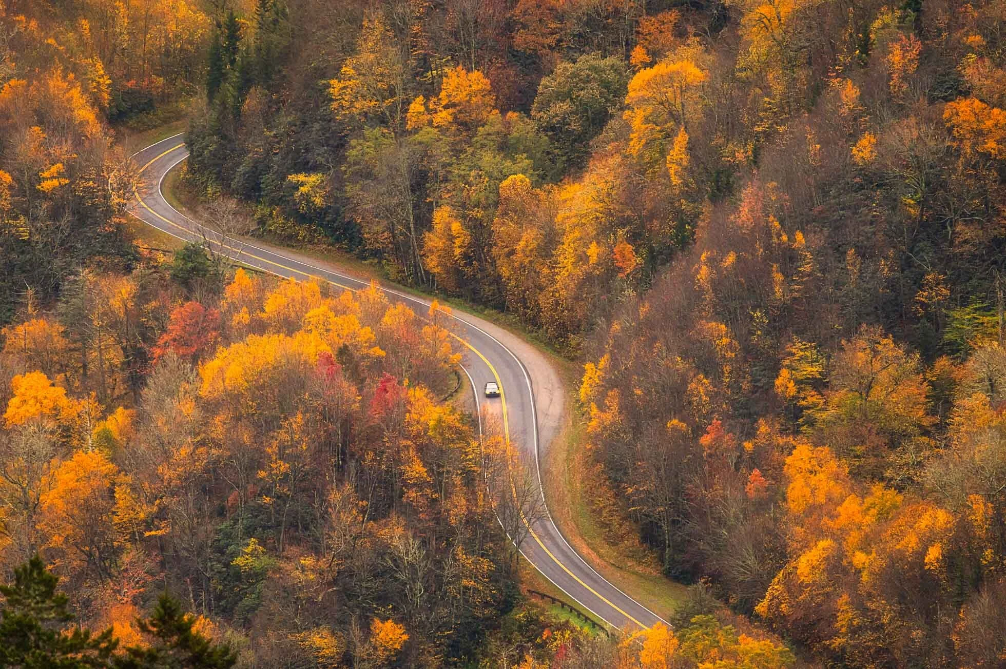 Autumn Road