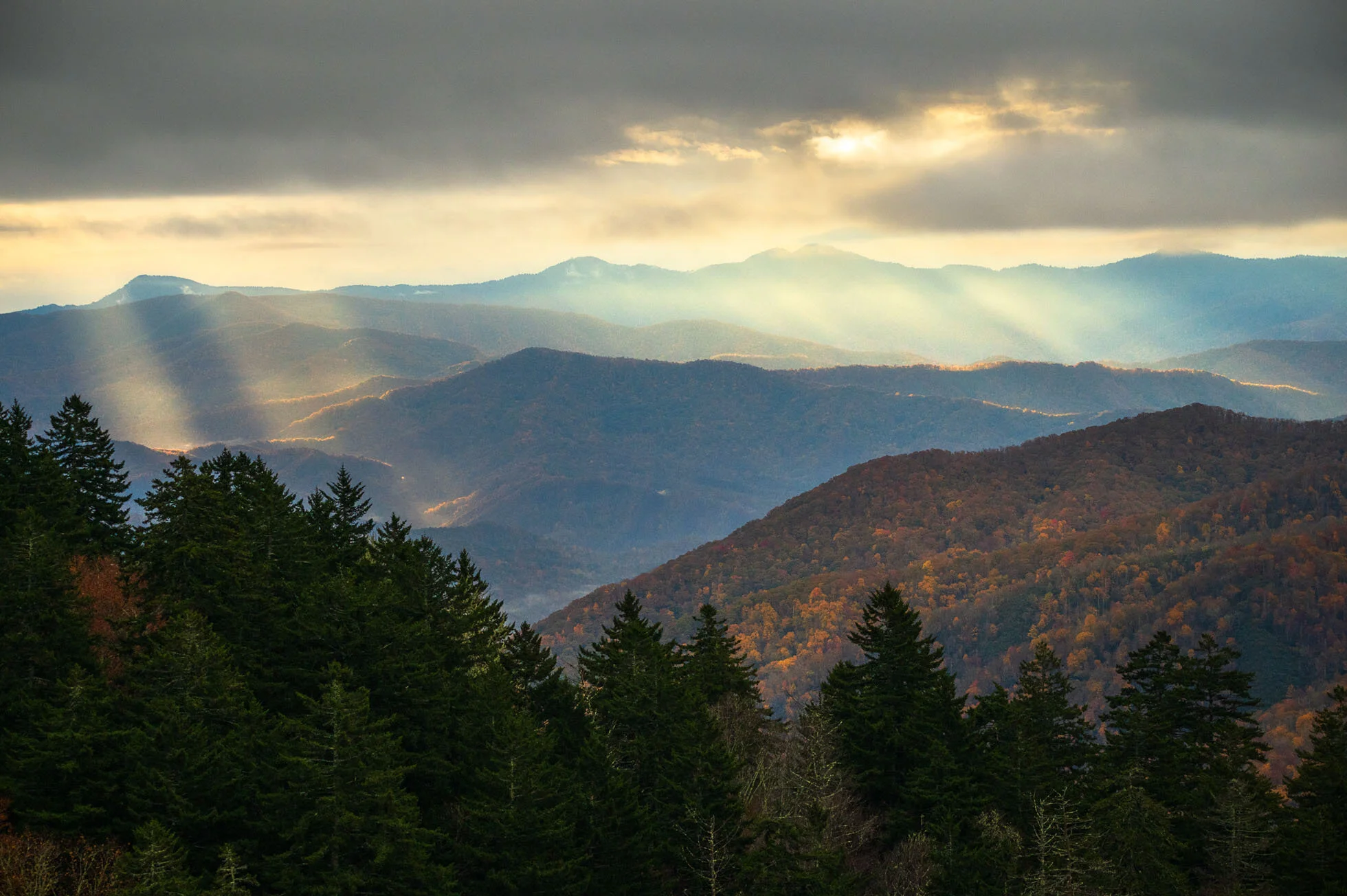 Light Rays in the Smokies