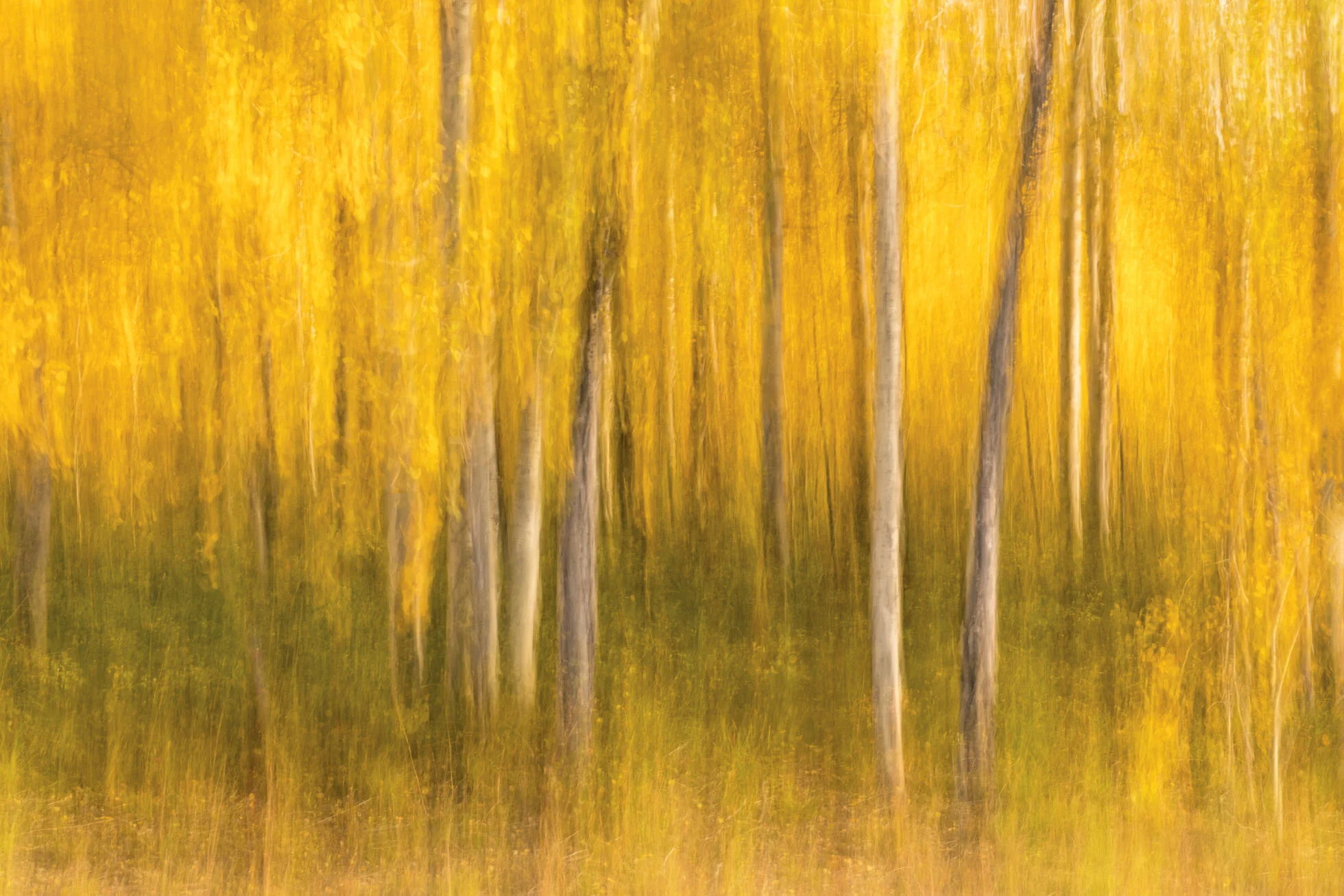 Golden Abstract KRP-001.jpg
