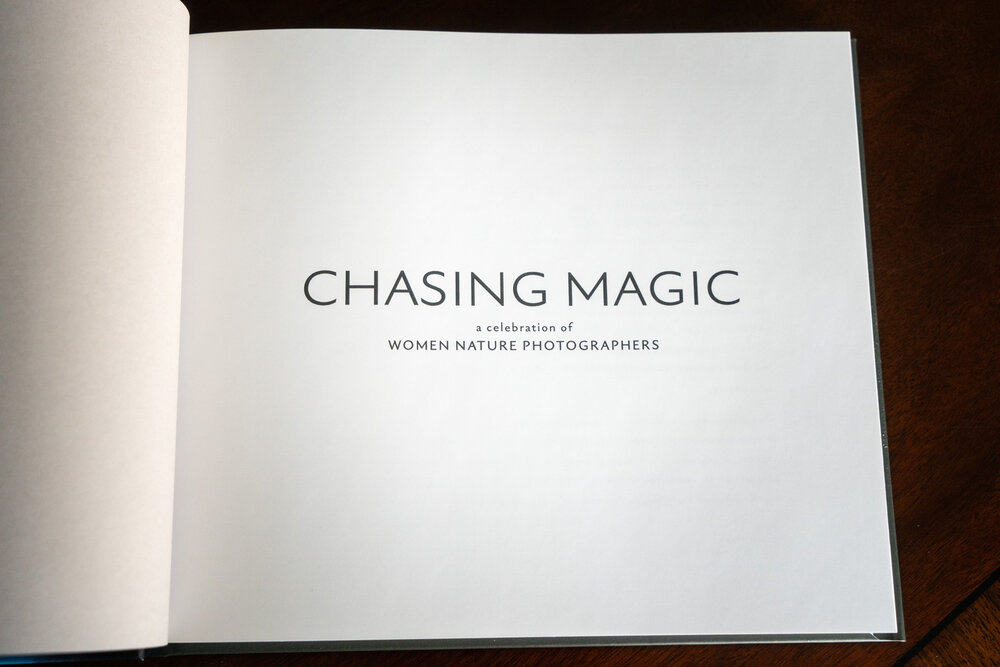 Chasing Magic inside-005.jpg
