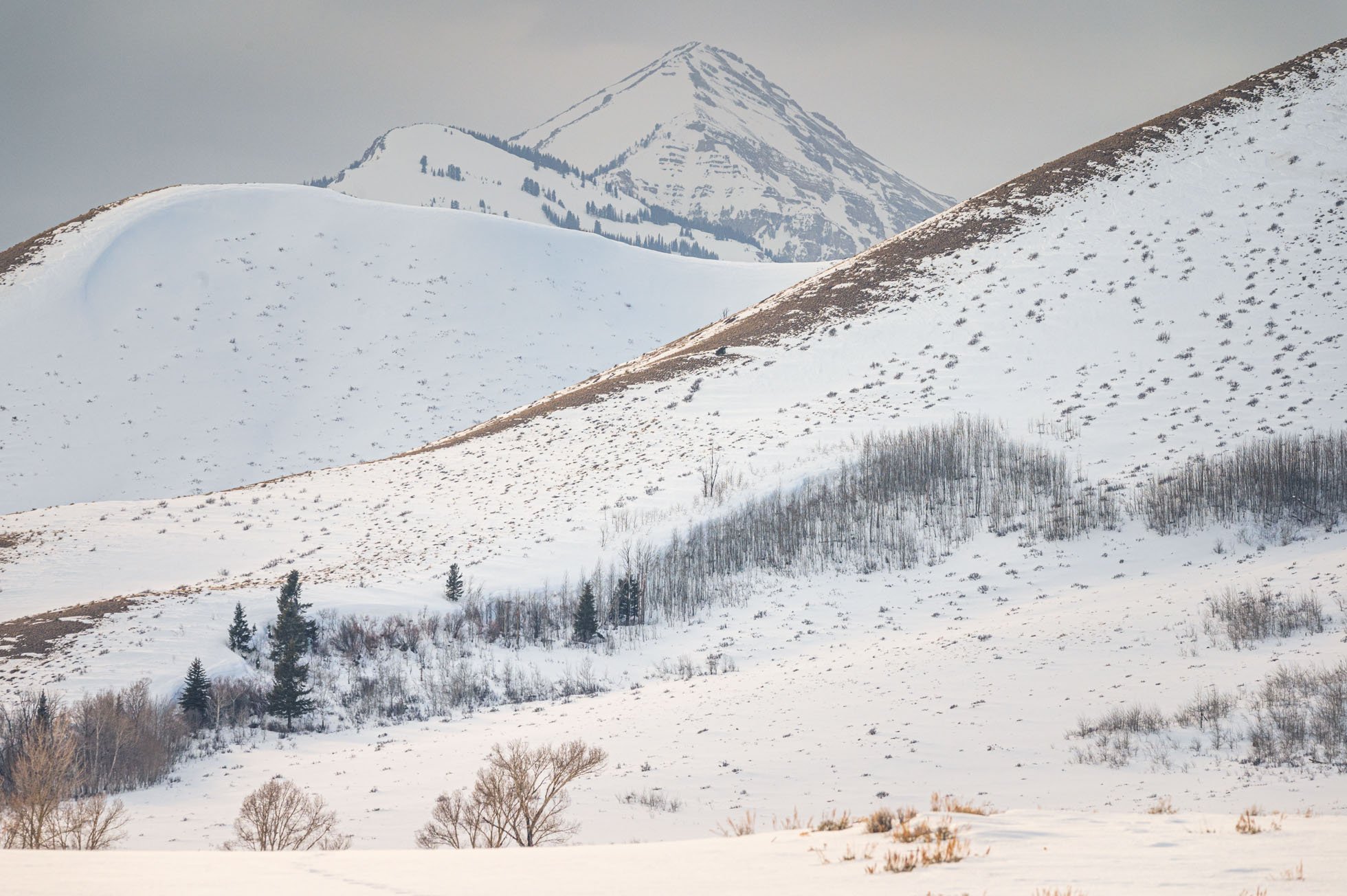 Layers of snowy hillsides KRP-001.jpg