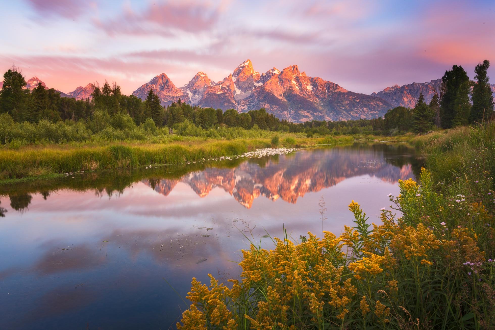 Sunrise & Flowers at Schwabacher's KRP-001.jpg