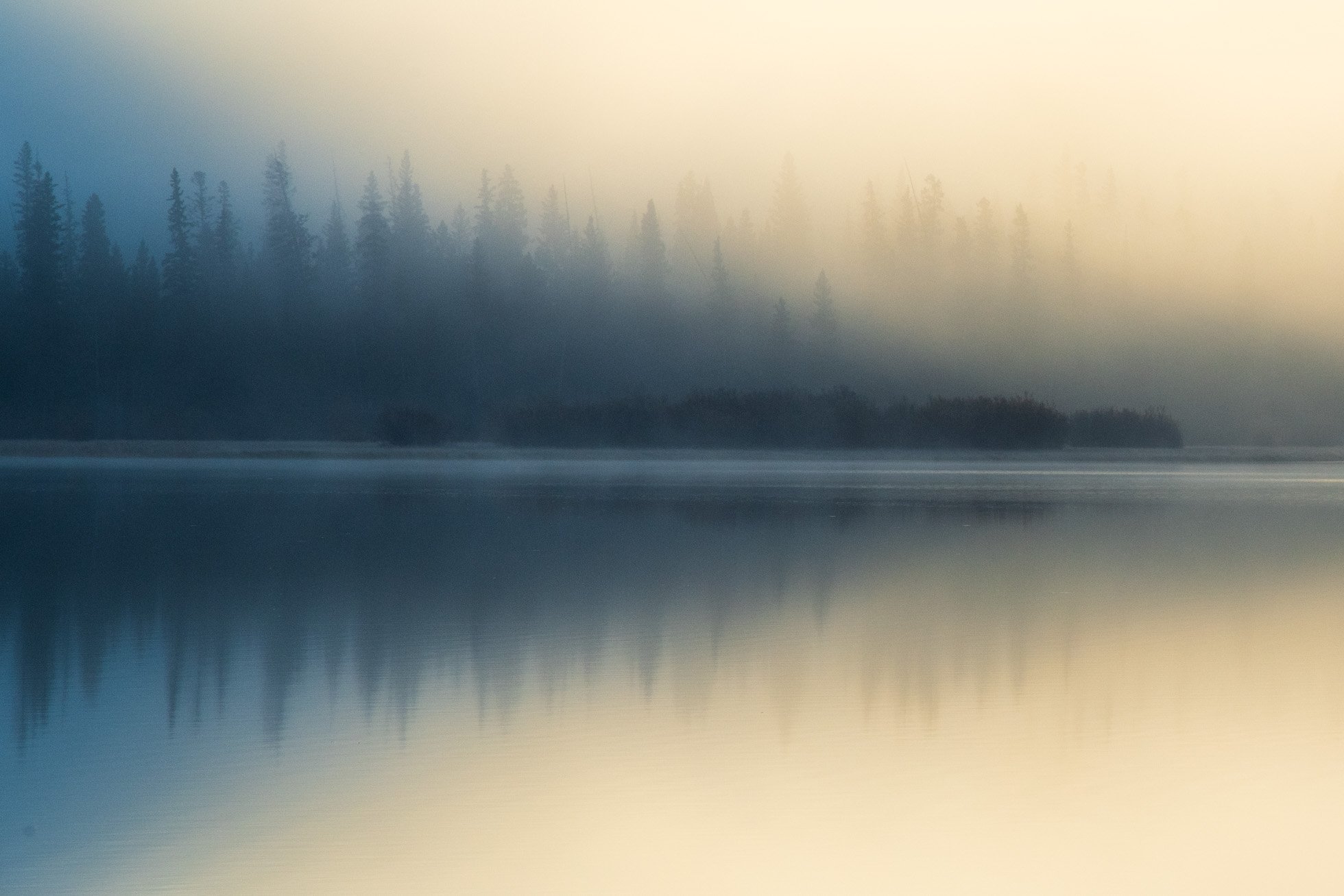 Trees in fog & light KRP-001.jpg