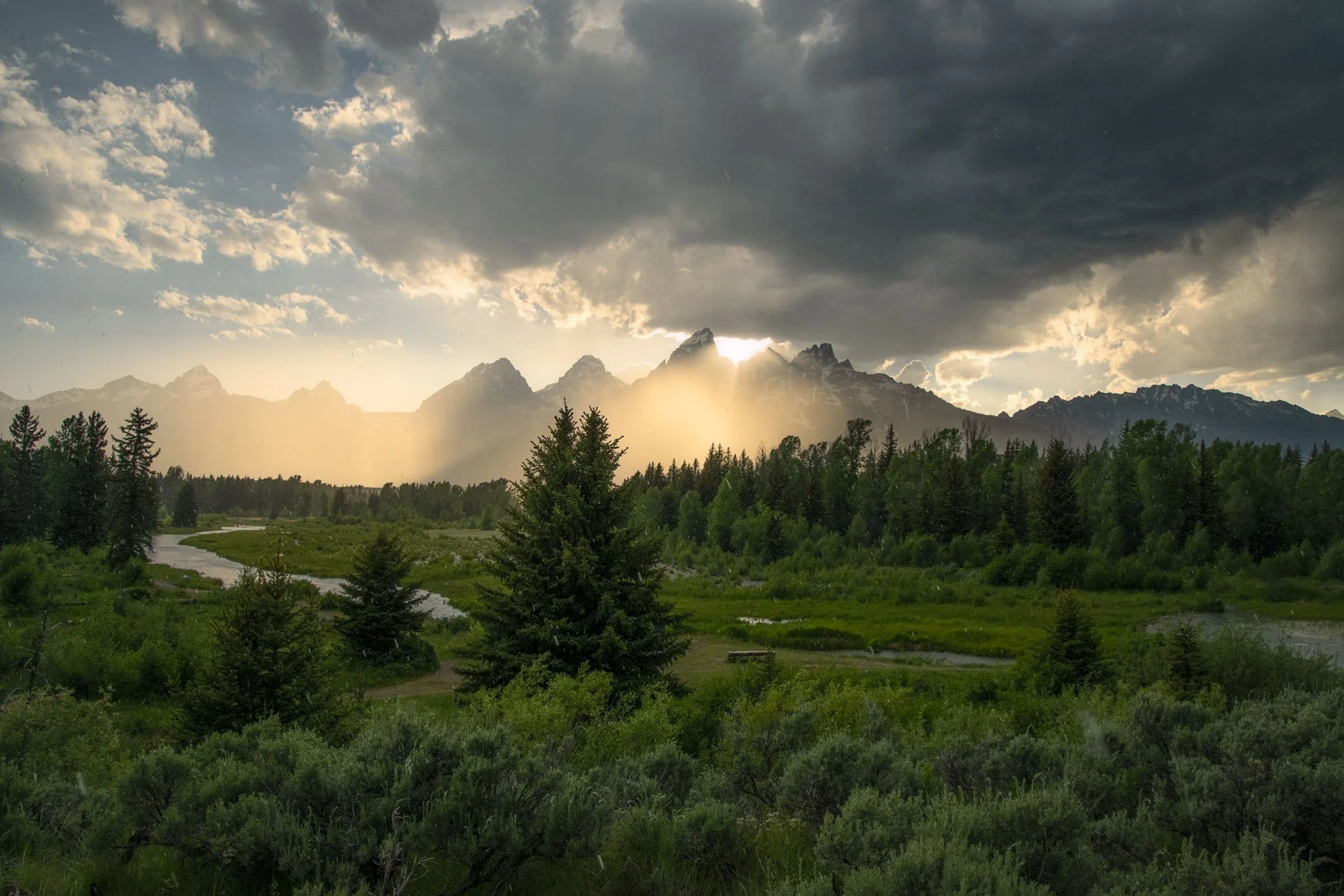 Light in the Rain krp 2-01.jpg