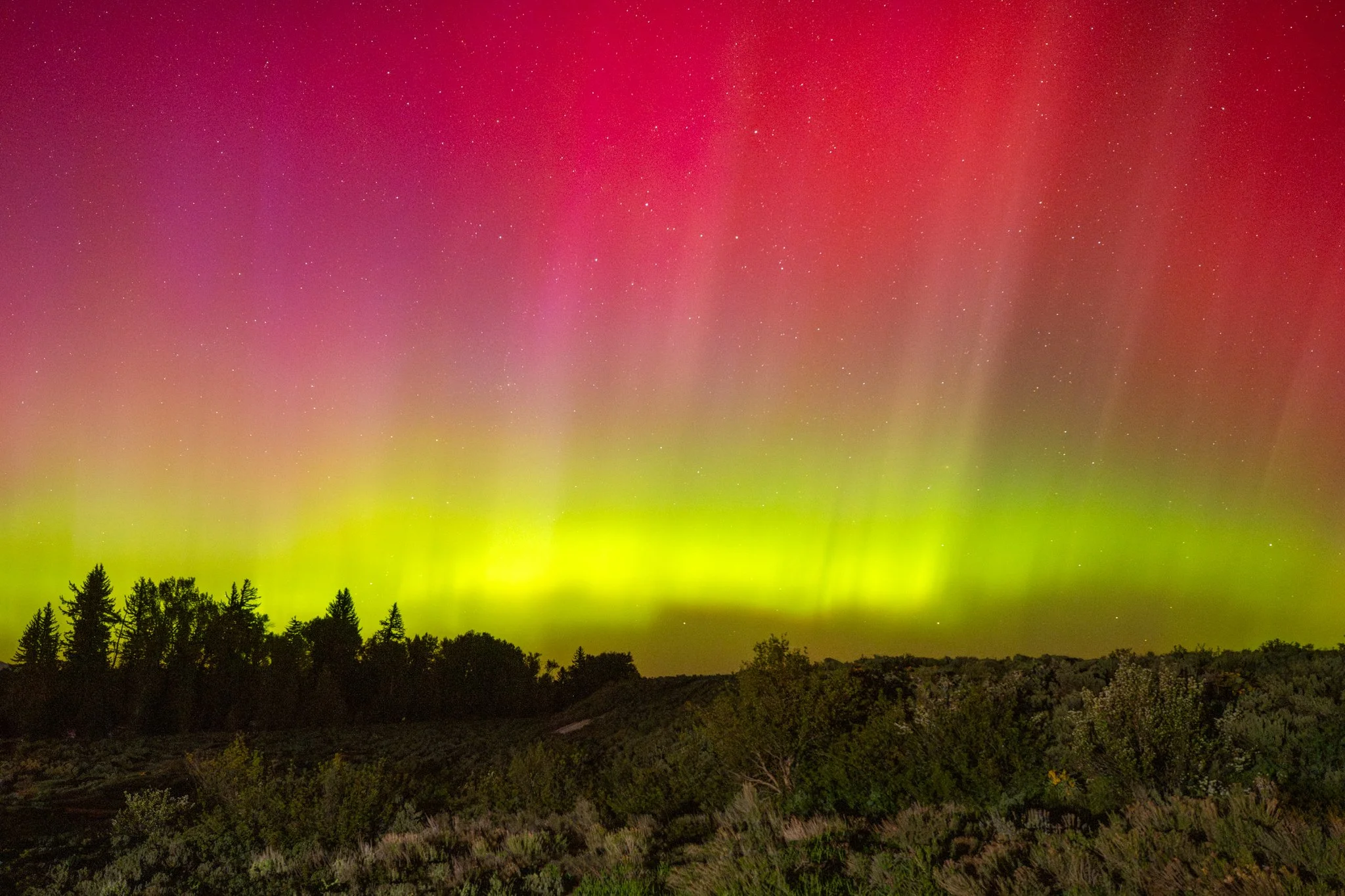 Aurora from Dornan's-02.jpg