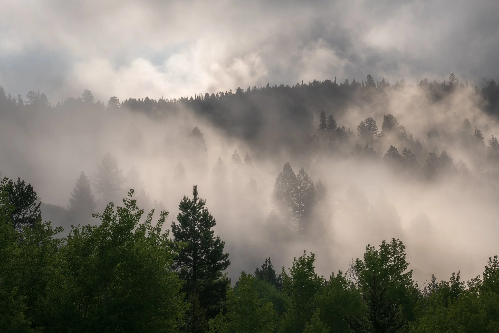 Fog above Oxbow-01.jpg