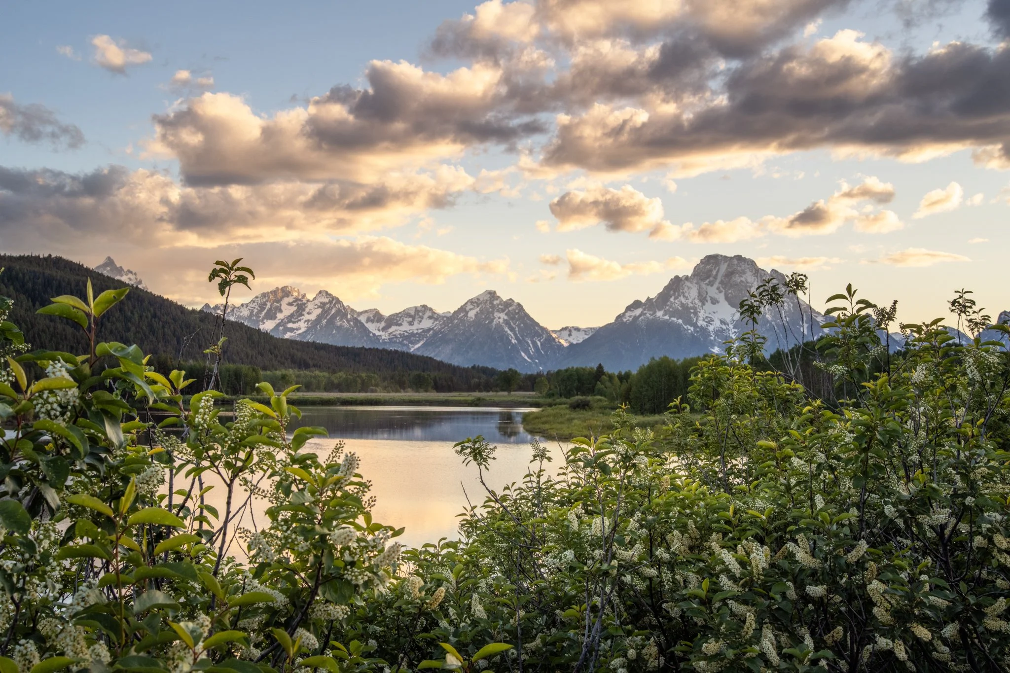 oxbow Bend-01.jpg