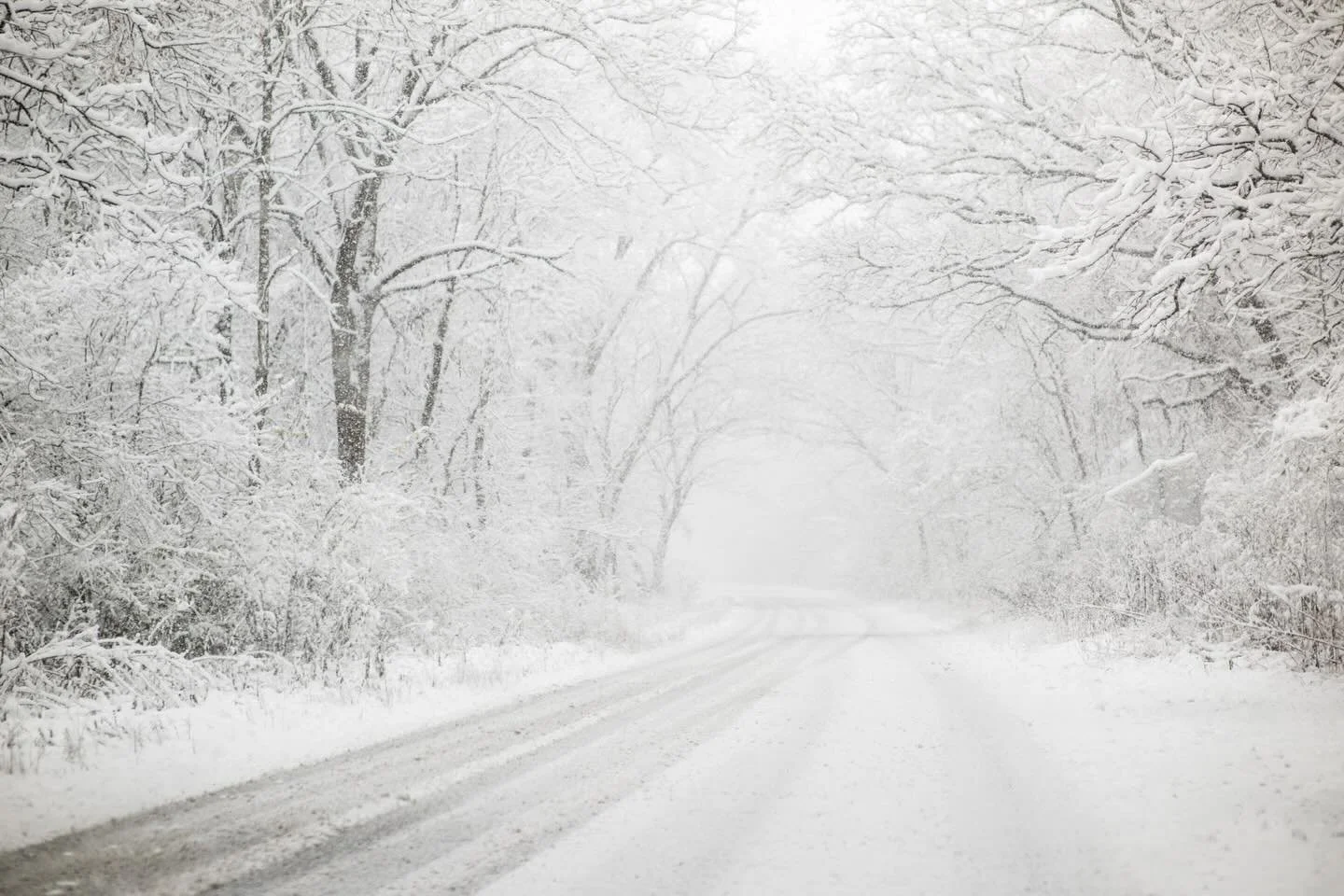 Happy winter solstice! ❄️ Sharing just a few of my favorite wintry images from over the years 💙 
Hope your day is cozy and joyous. Happy Sunday! 
.
.
.
.
.
#winterwonderland #womencapturemagic #ourfotoworld #futurewomenphotography #women_photography
