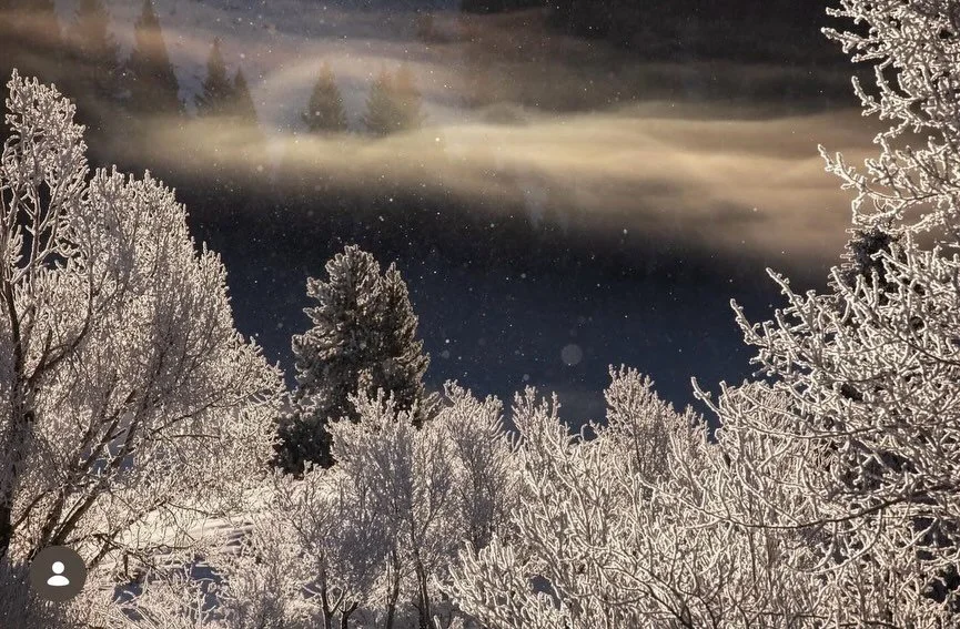 Doesn&rsquo;t look like it will be a white Christmas around here. These moments in the snow were pretty magical though ❄️ 💙
.
.
.
.
.
.
#womencapturemagic #winterwonderland #snow #ourfotoworld #futurewomenphotography #womenphotographersus #women_pho