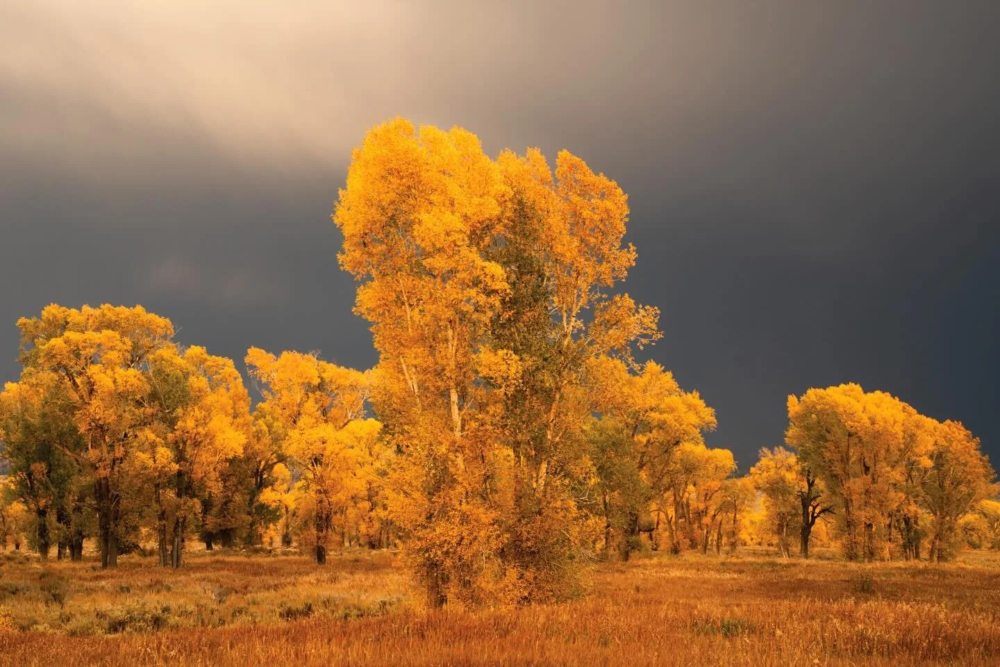What do these images all have in common? 
They were all captured in Iconic Locations!  Next week I will be presenting for Out of Chicago LIVE! about Creating Original Images in Iconic Locations.
Hope you can join this incredible event - the line up o