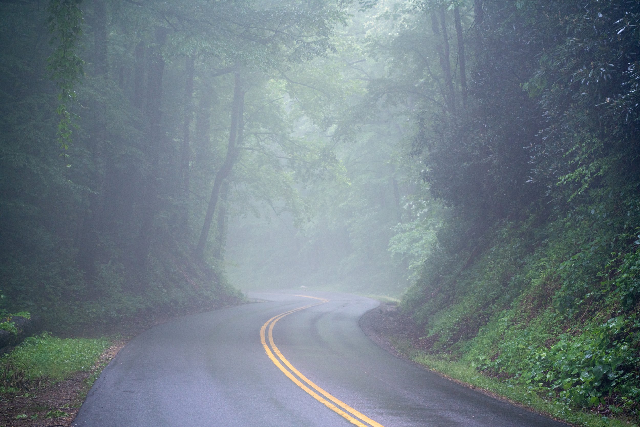 Curve of the road-01.jpg