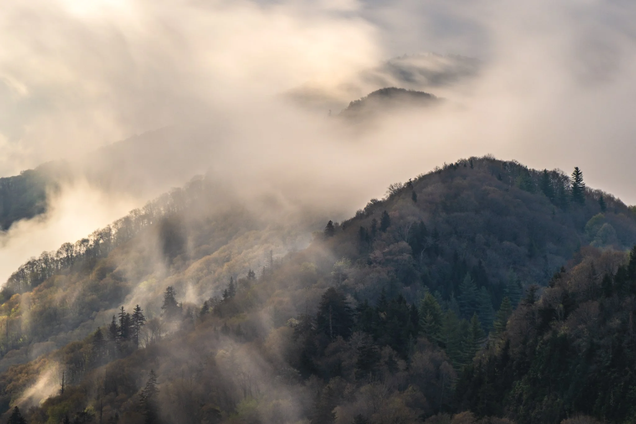 Fog and layers in the Smokies-01.jpg