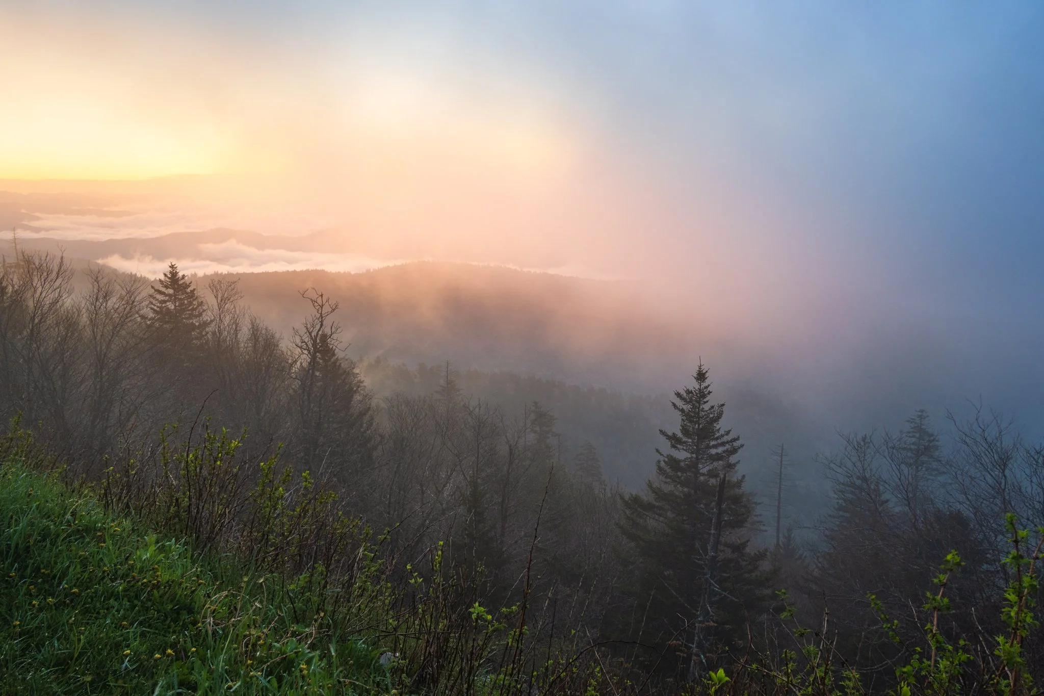 Fog and sunlight at Kuwohi -01.jpg