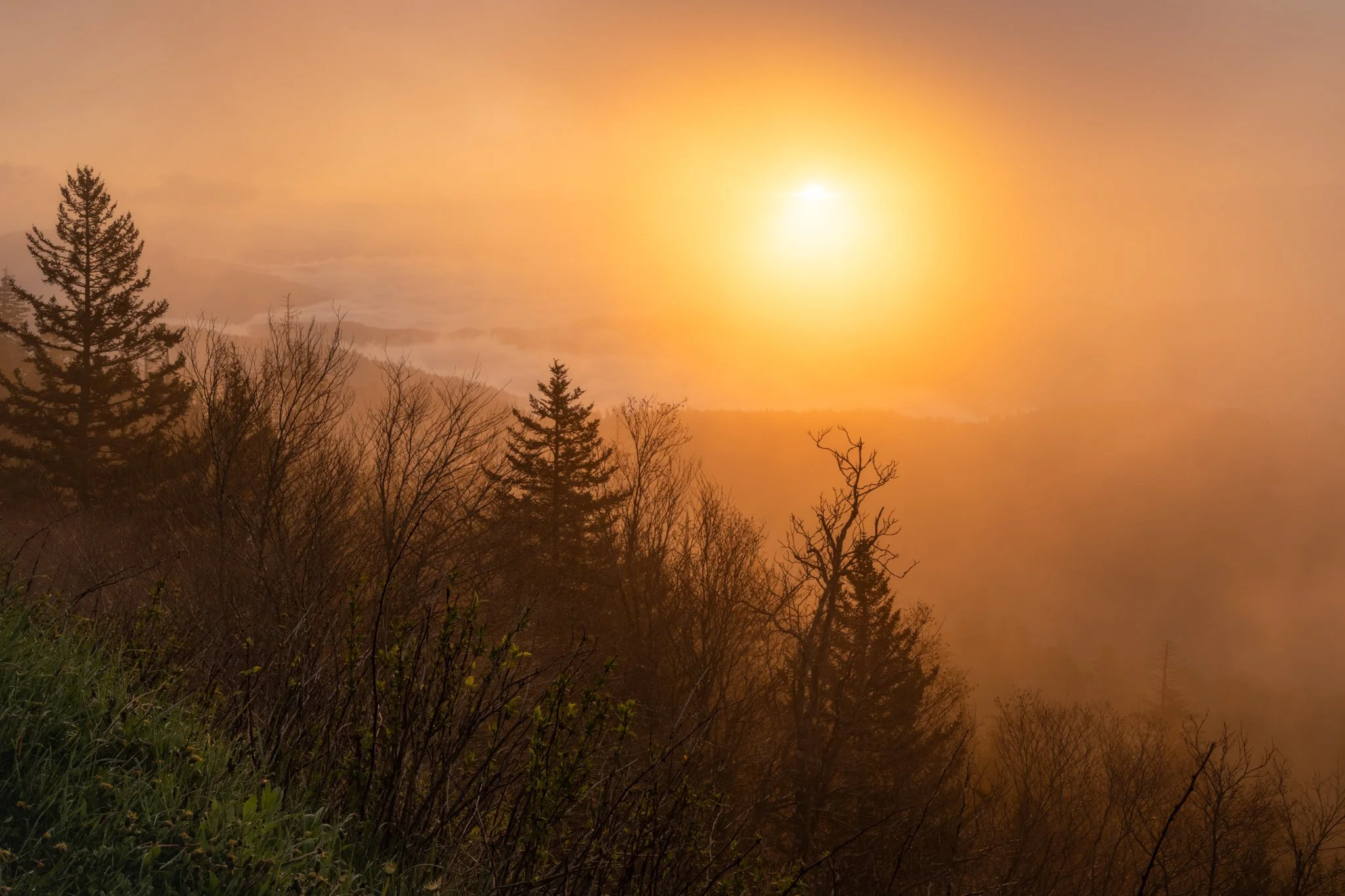 Sunrise Fog at Clingman's  2-01.jpg