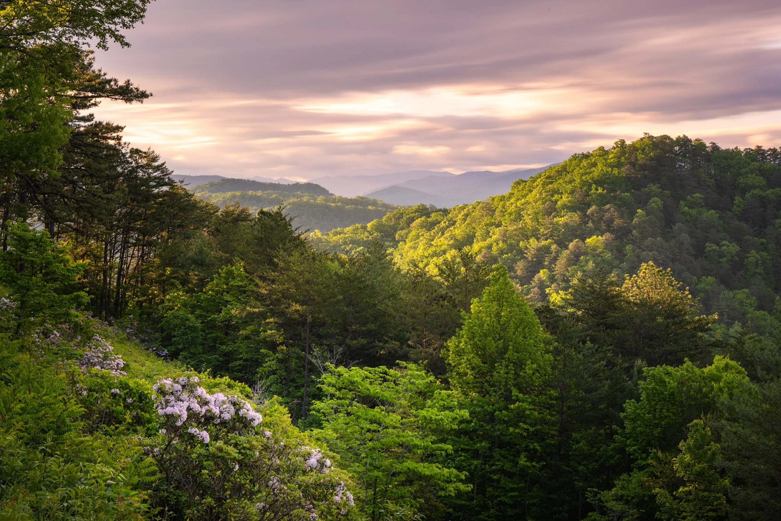Foothills Parkway Sunrise web-01.jpg