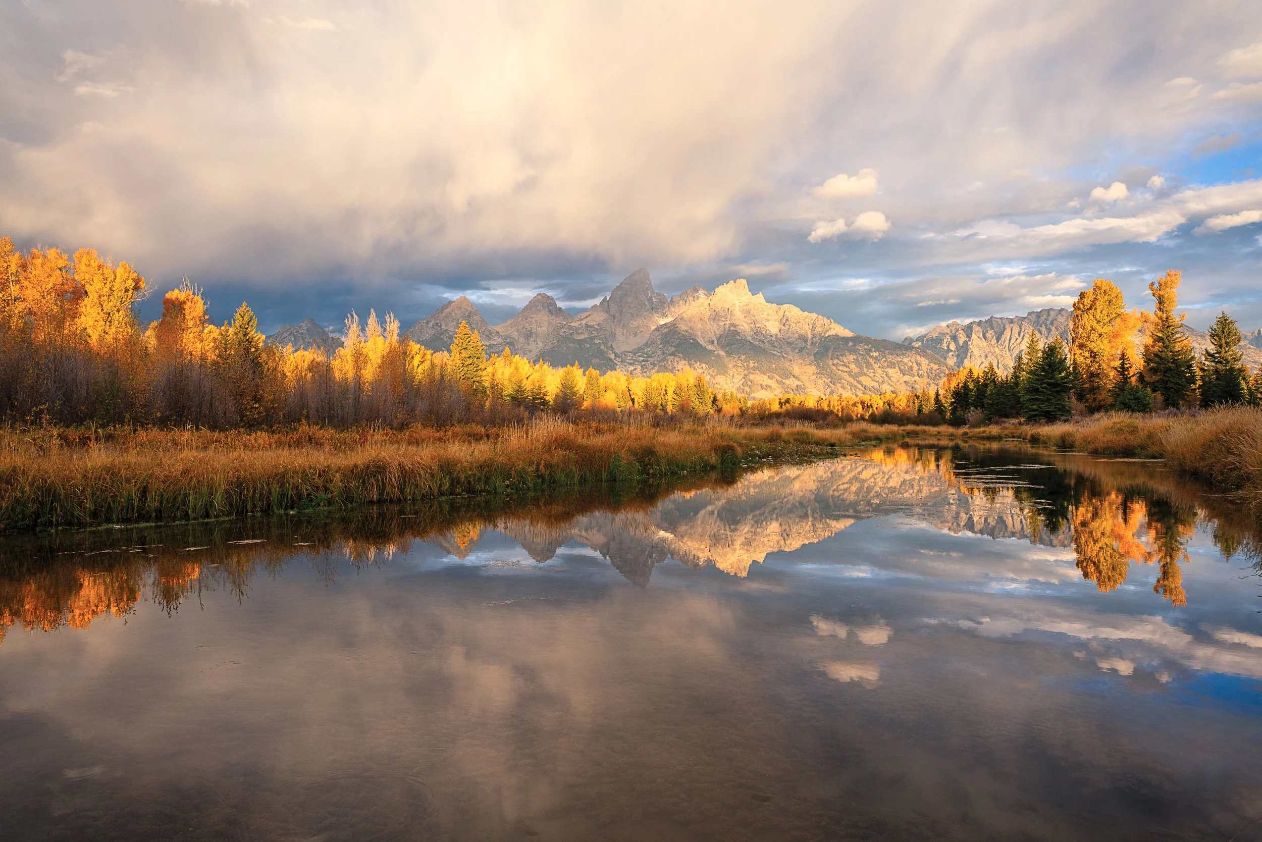 Fall Magic at Schwabacher's -01.jpg