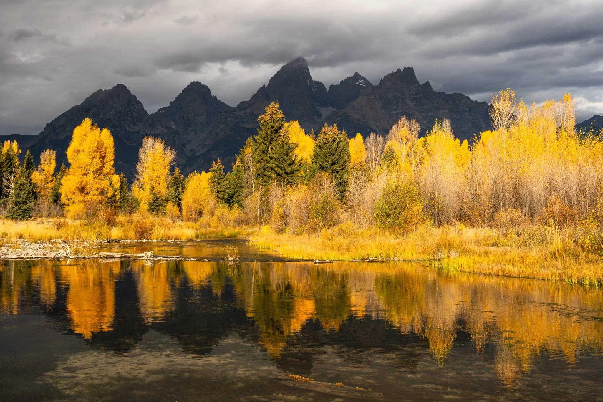 Dark & Stormy Schwabacher's-01.jpg