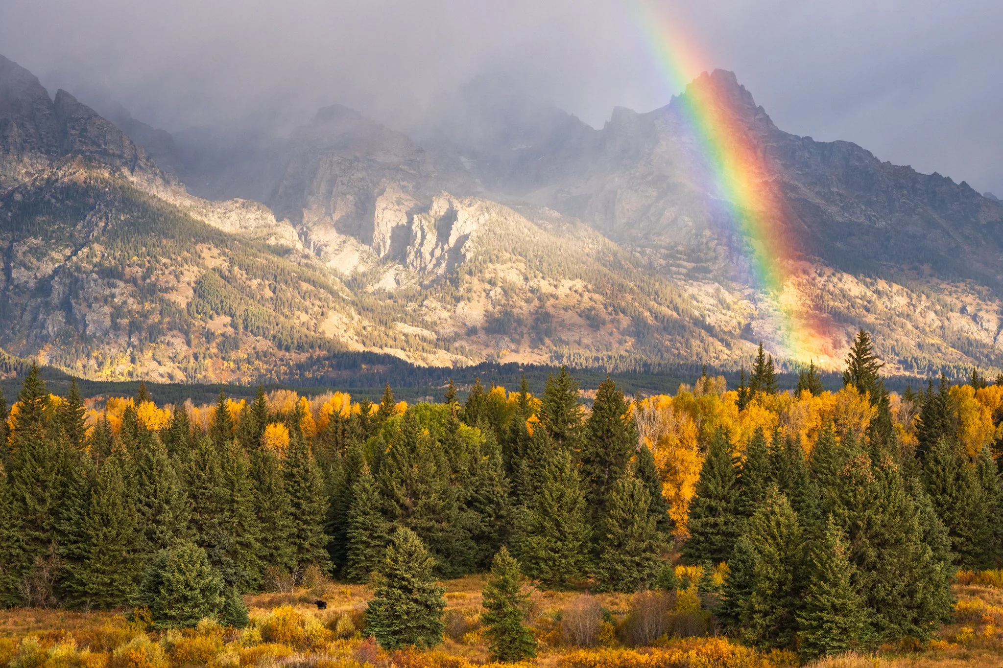 Rainbow at Blacktail Ponds overlook-01.jpg