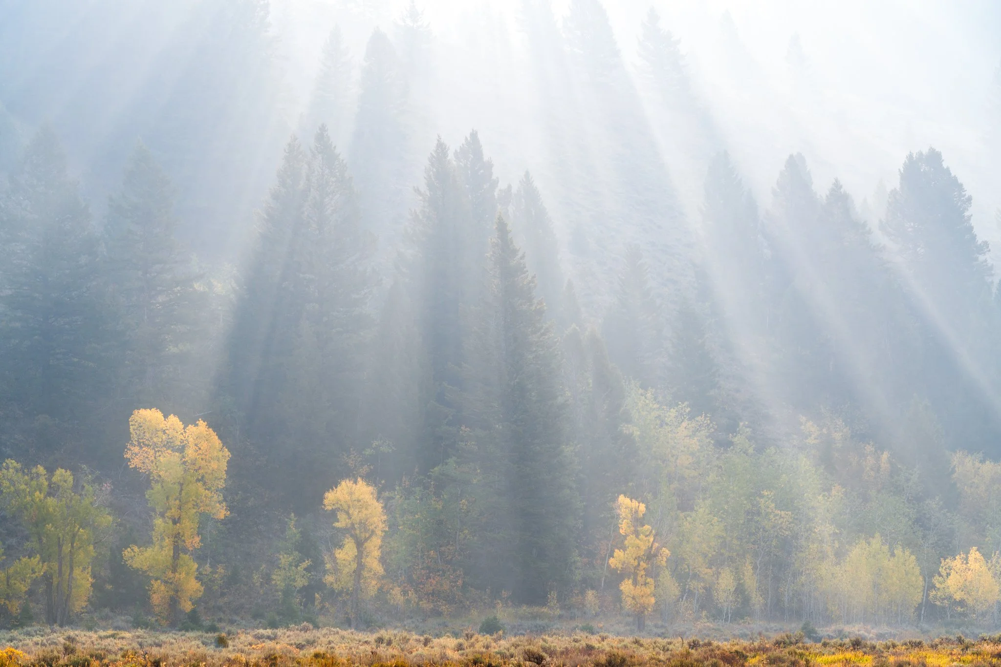 Smoky Rays at Blacktail Butte-01.jpg