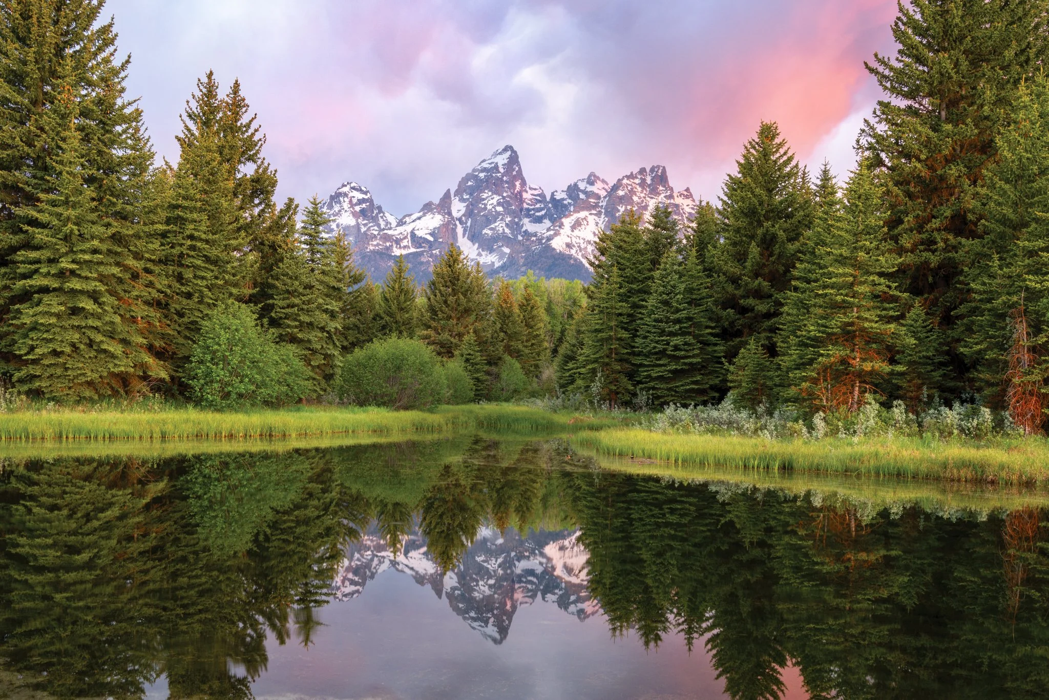 Schwabachers Sunrise tight crop-01.jpg