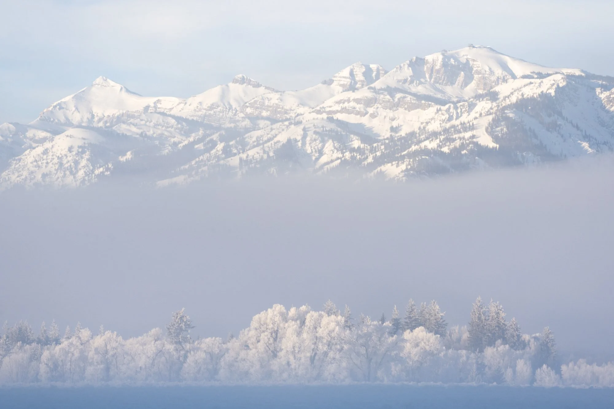 Frosty Trees and Mountains-01-2.jpg