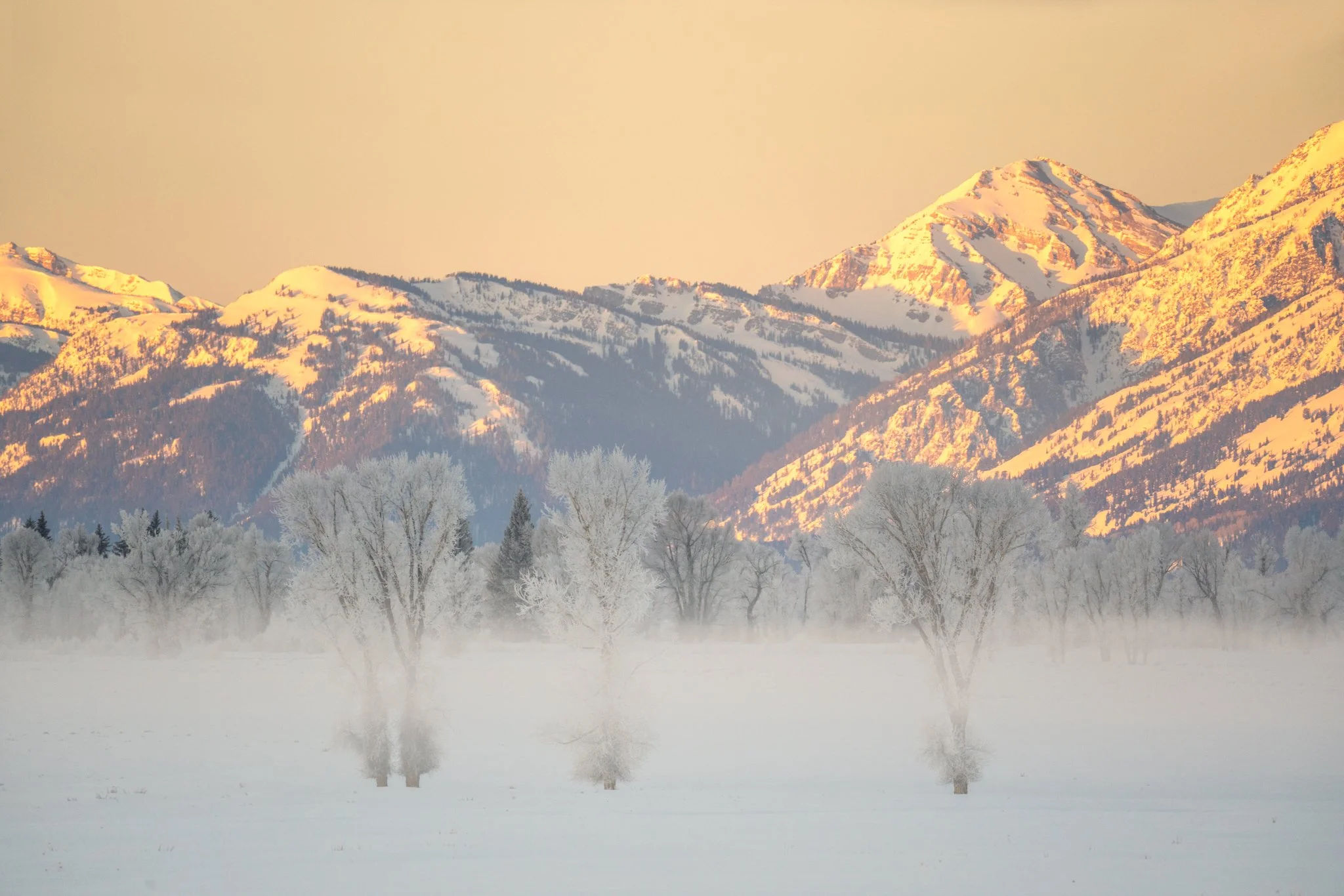 Frosty Trees at Sunrise-01.jpg
