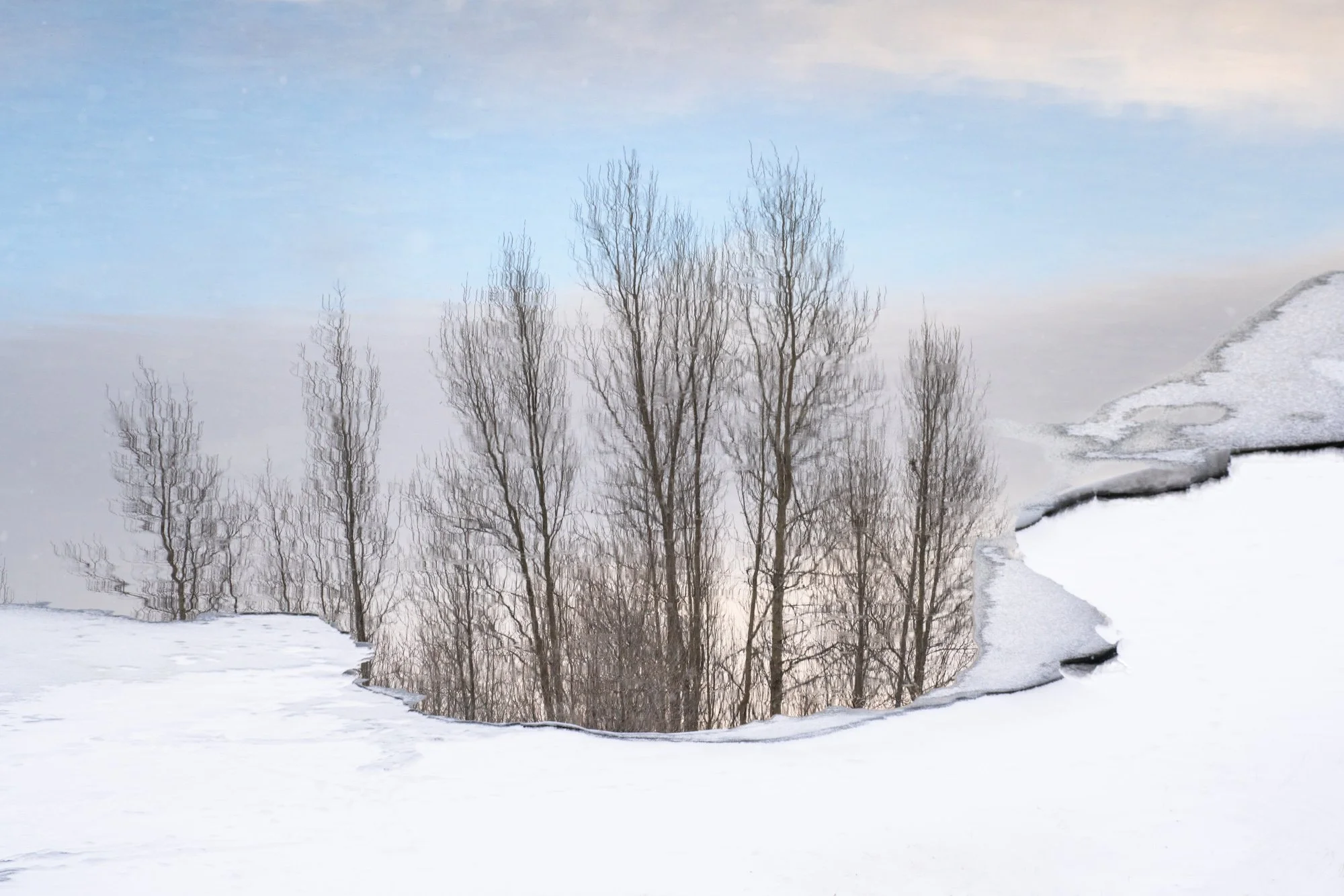 Tree Reflection in the Gros Ventre-01.jpg